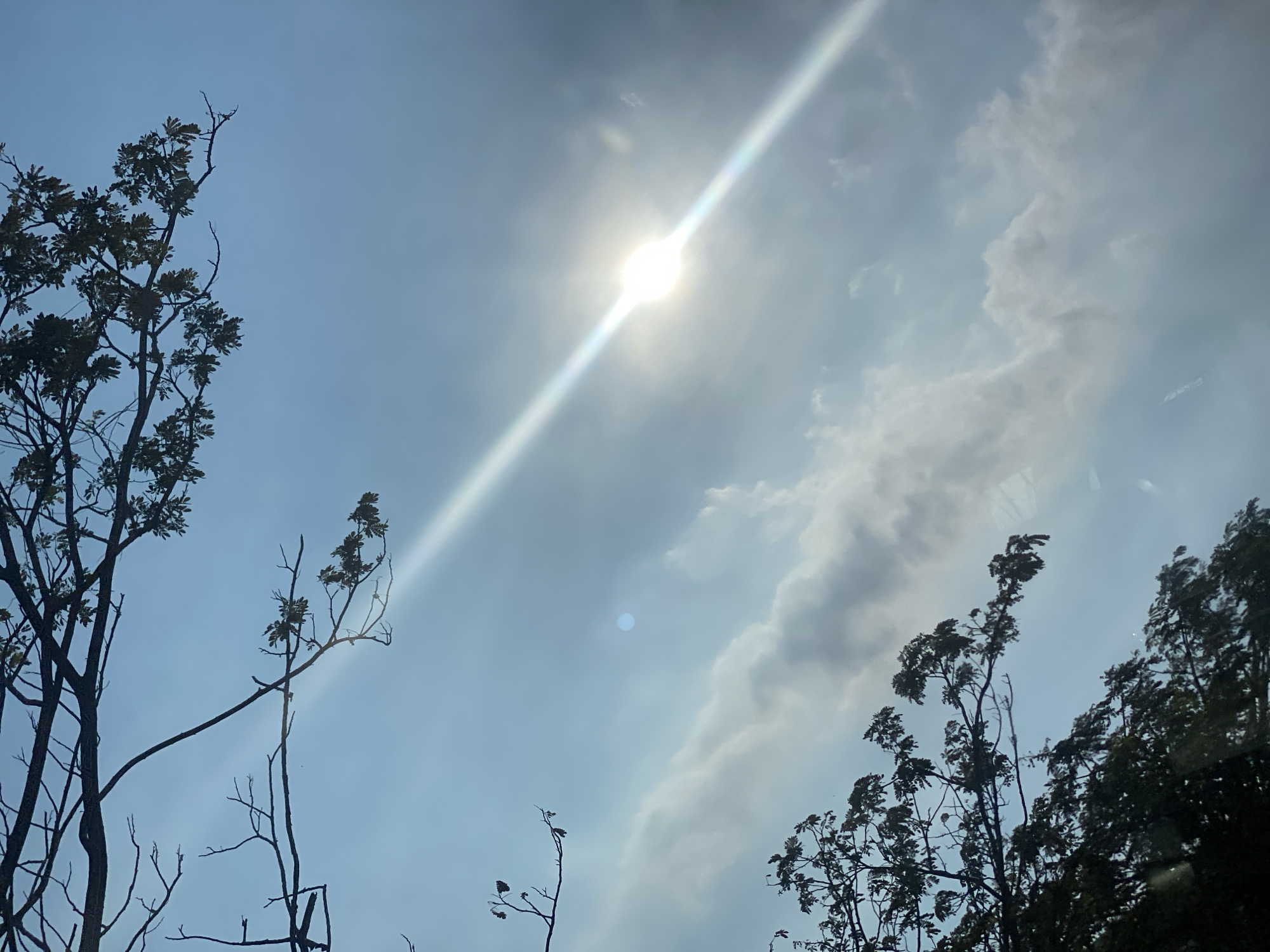The image shows a sky with some clouds and tree branches. The sun is visible as a bright light in the sky, casting a beam across the scene. The location is identified as Mandar Sari, Indonesia. There are no people or specific actions depicted in the image. The environment is primarily the sky and foliage.
