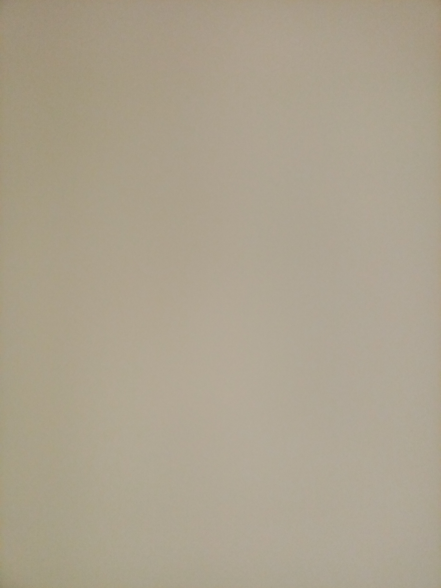 The image is a full-frame, eye-level, medium shot of a plain, light beige wall. There are no people, objects, or discernible features present in the image. The lighting is even and diffused, with no strong shadows or highlights. The texture of the wall appears to be slightly rough or matte. There is no contextual information or discernible location within the city of Rostov-on-Don, Russia, or any other geographical setting.