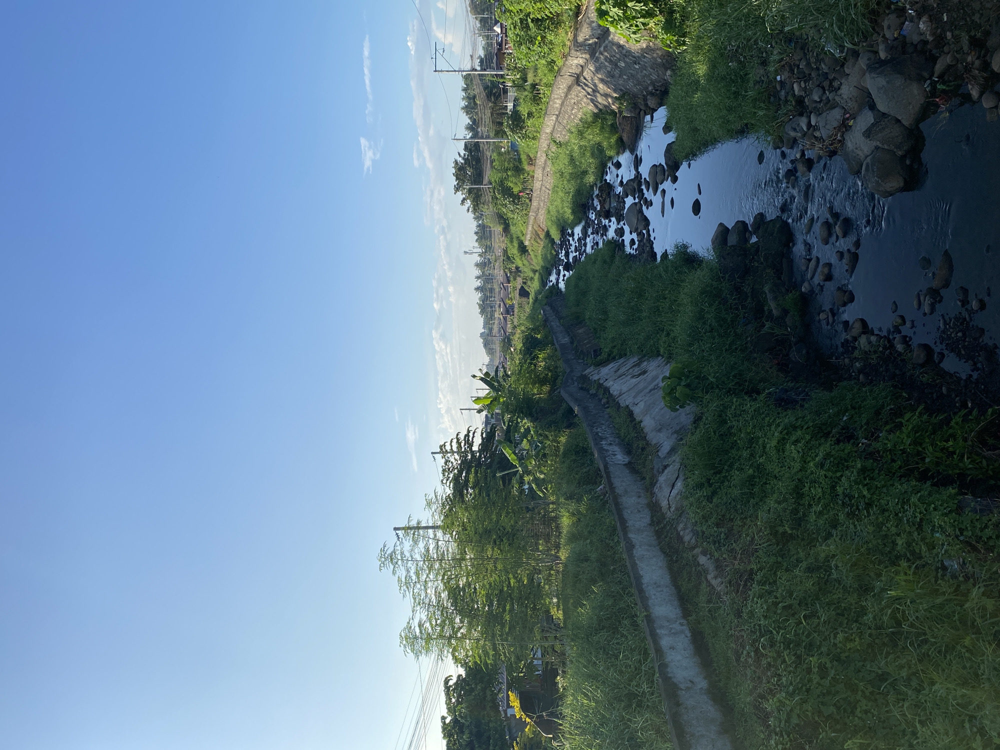 The image depicts a narrow, rocky stream flowing through a man-made channel, likely a drainage canal, in a suburban area of Davao City, Philippines. The channel walls are constructed of concrete with some erosion visible. Lush green grass and various plants, including some tall, feathery trees and banana plants, grow along the banks and in the immediate surroundings. In the background, residential structures, telephone poles, and power lines are visible, indicating a populated area. The sky is clear and blue, suggesting it is daytime, likely morning due to the soft lighting. There are no people or animals clearly visible in the frame. The scene conveys a sense of a natural waterway integrated into an urban landscape.