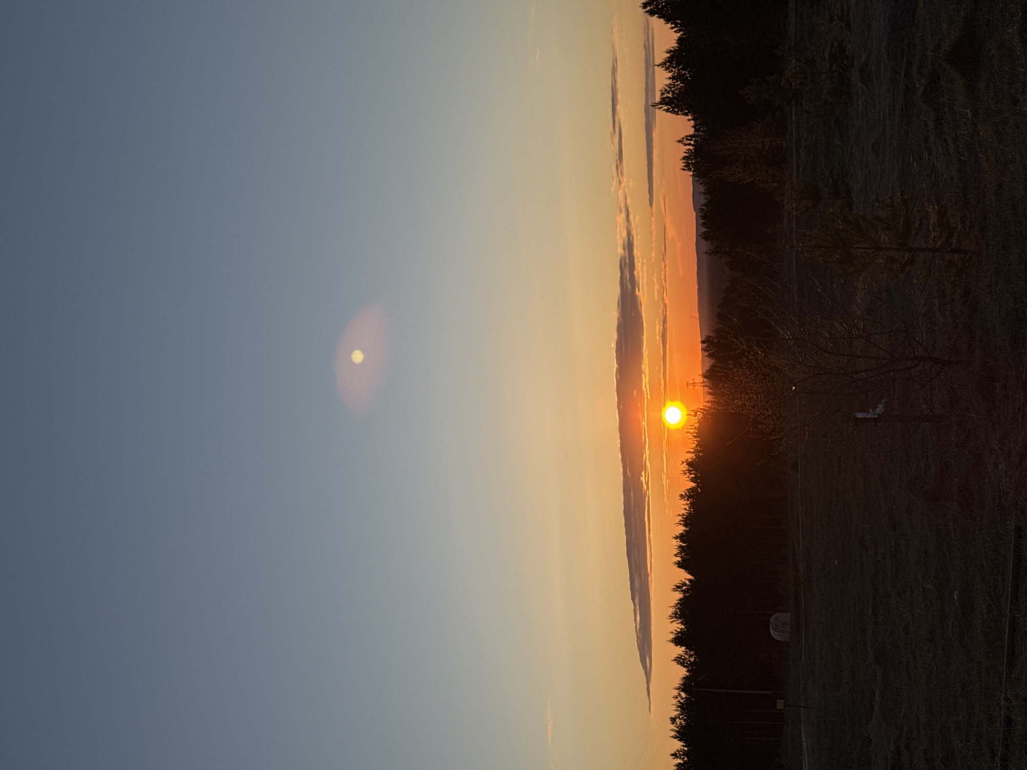 The image shows a sunset. The sun is visible in the center of the frame. The sky is blue on the left and orange near the horizon. A thin, vertical cloud is visible in the middle of the frame. Trees line the horizon on the right. The ground appears dark in the foreground. Based on the request, the location is Chaikovsky, Russia.