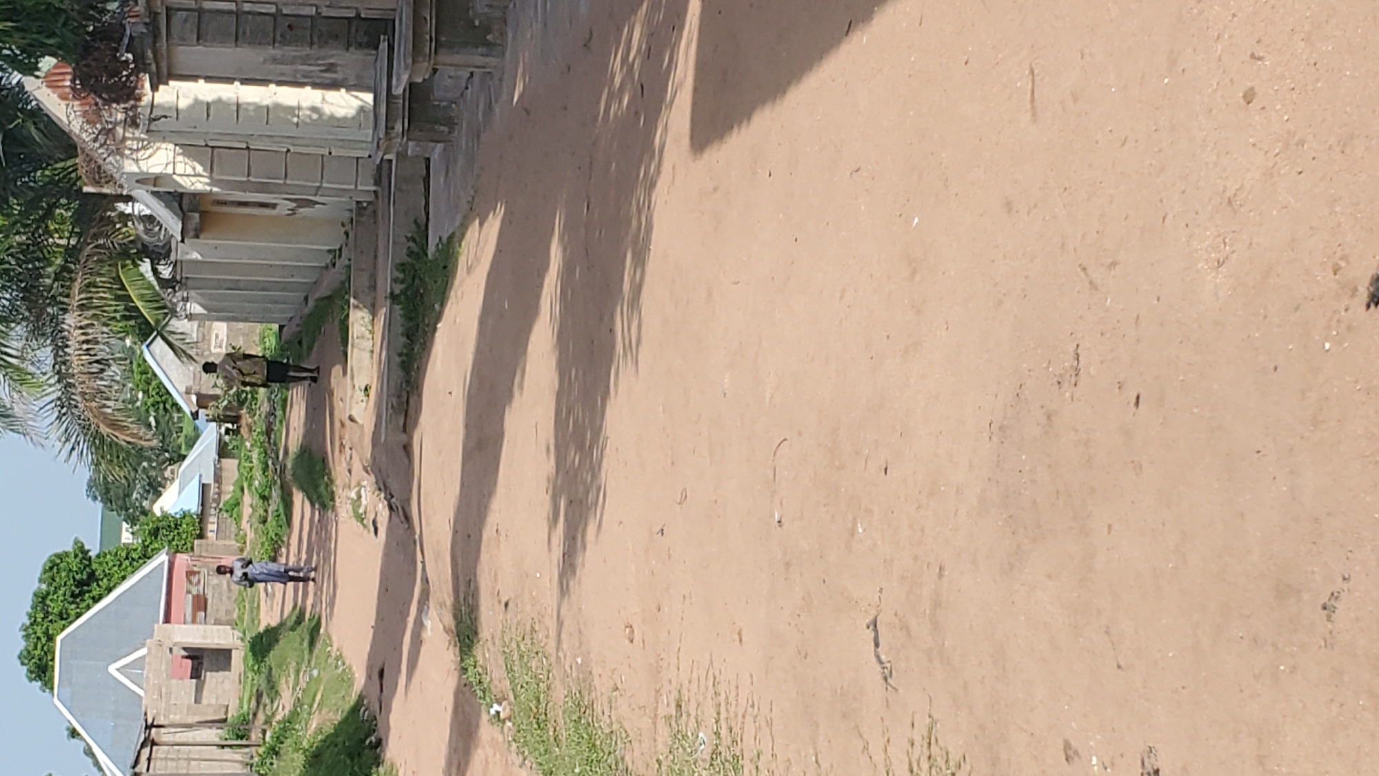 The image depicts a dirt road in a residential area of Jalingo, Nigeria, likely a neighborhood with developing infrastructure. Two individuals are walking along the road. One, dressed in a blue garment, walks towards the viewer on the left side of the road. Further down the road, a second individual, wearing a dark shirt and shorts and carrying a backpack, walks away from the viewer. The road is lined with modest buildings, some with corrugated metal roofs and others with block construction. Vegetation, including grass and palm trees, is present along the sides of the road and between buildings. Shadows from trees are cast across the sandy surface of the road, indicating it is daytime. The overall impression is a snapshot of daily life in a Nigerian urban or semi-urban environment.