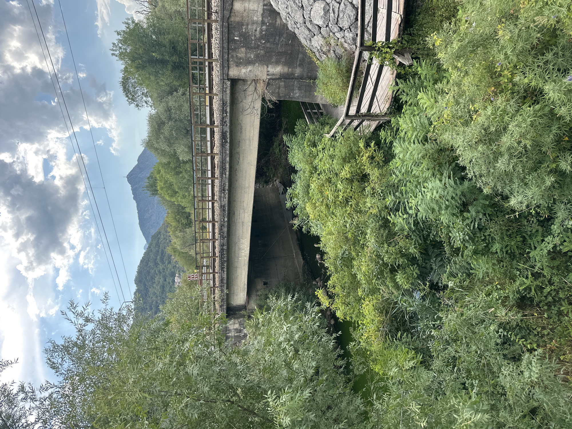 The image shows a concrete bridge spanning a body of water, likely a canal or river, in Virpazar, Montenegro. The bridge supports a railway track with wooden railings. Lush green vegetation, including trees and bushes, grows abundantly on both sides of the water and around the bridge's supports. A wooden walkway with railings curves along the embankment on the right side of the image, leading towards the bridge. In the background, rolling hills covered in trees rise against a sky with scattered clouds. The concrete underside of the bridge is visible, and graffiti appears to be present on its surface. The overall scene depicts a rural or semi-rural environment integrated with infrastructure.