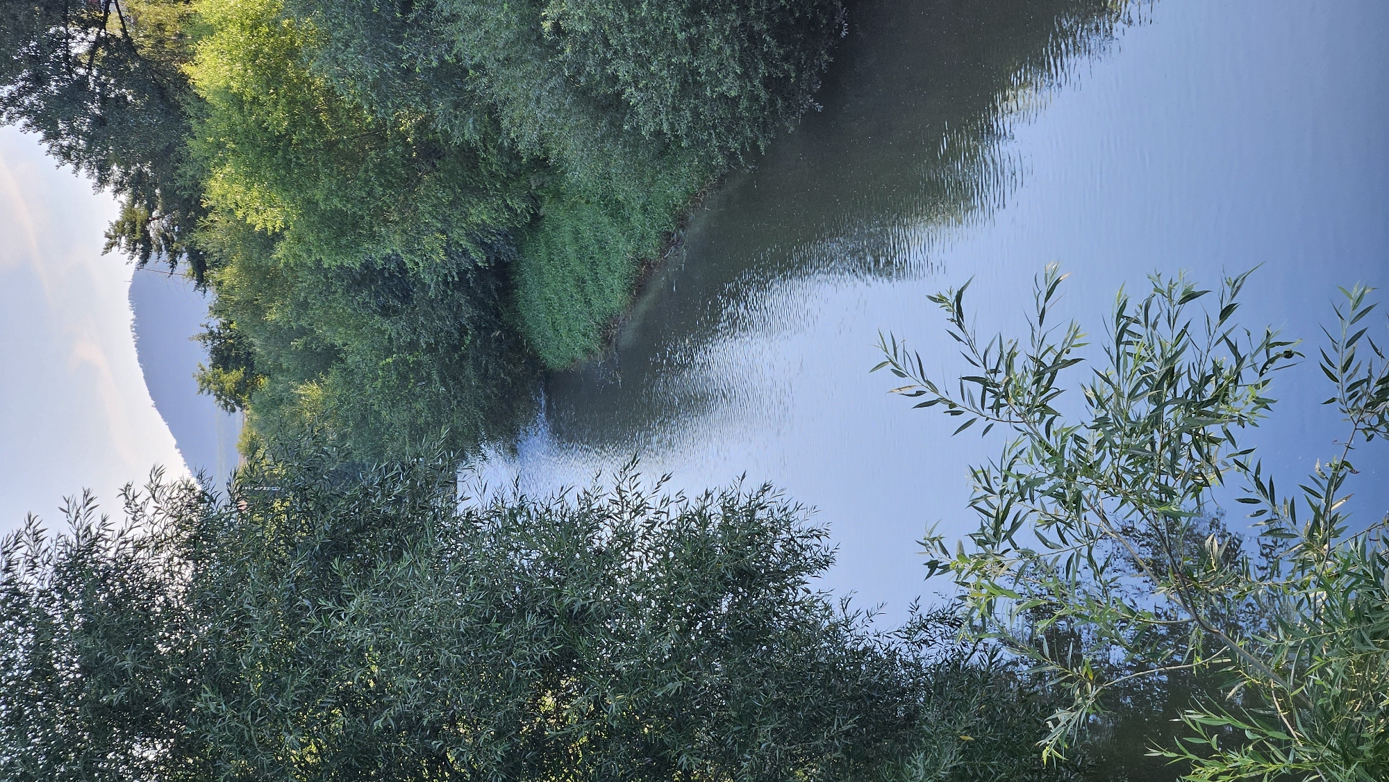 The image shows a serene natural scene featuring a gently flowing river bordered by lush green trees and foliage. In the background, a hazy mountain range is visible under a clear sky. The foreground is partially obscured by the branches of a willow tree.
The location appears to be near the "Veľký Šariš" castle, which is situated on a hill overlooking the town of Veľký Šariš, which is adjacent to Prešov, Slovakia. The river in the image is likely the Torysa River, which flows through Prešov and past Veľký Šariš. The overall impression is one of tranquility and natural beauty, possibly captured during a late afternoon or early morning due to the soft lighting. There are no people or man-made structures immediately visible in the immediate vicinity of the river.