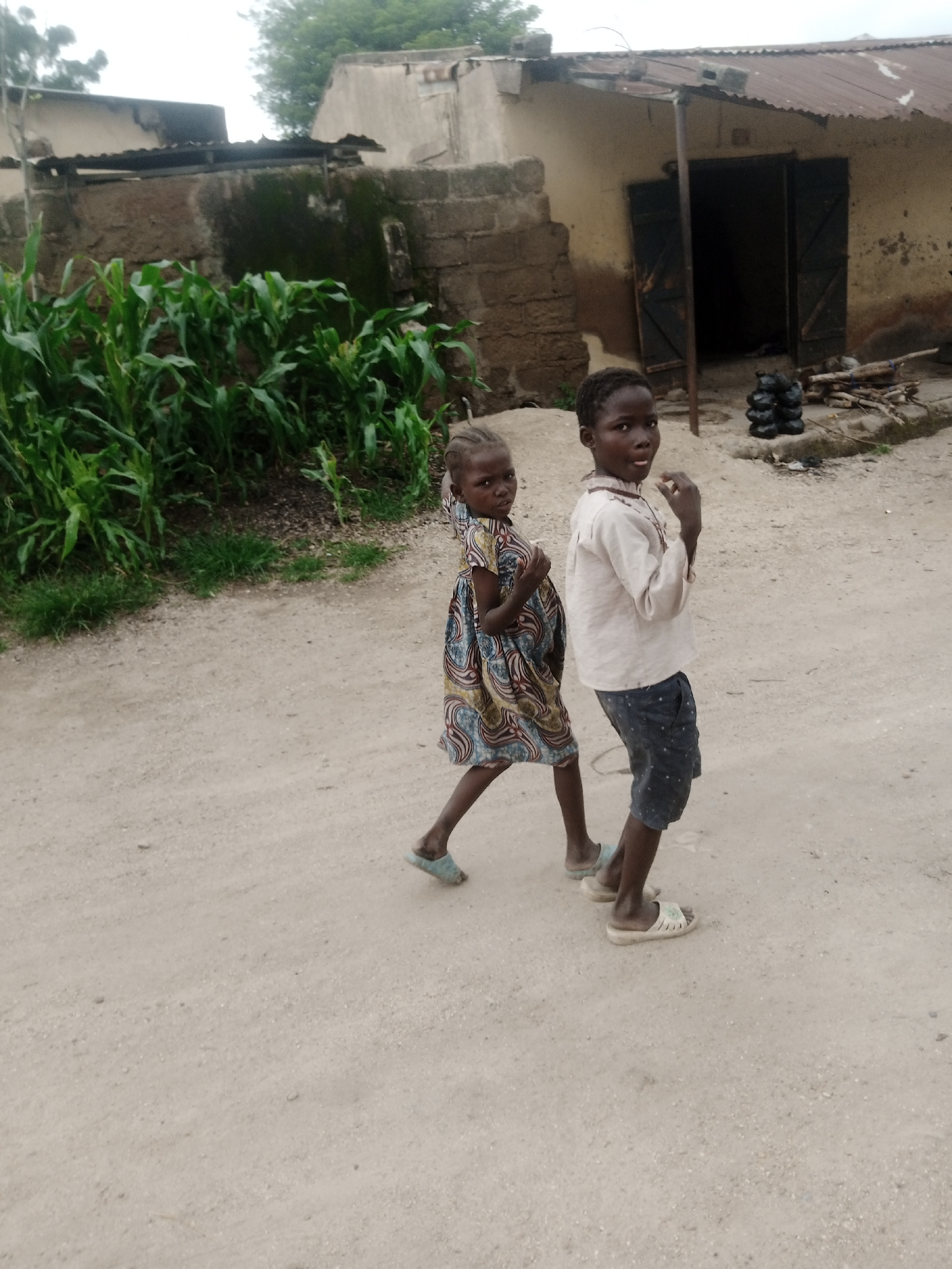 Two children walk along a dirt road. The child on the left is a girl wearing a colorful patterned dress and blue sandals. The child on the right is a boy wearing a light-colored shirt, dark patterned shorts, and sandals. In the background, there is a building with a corrugated metal roof and an open doorway. Adjacent to the building is a patch of corn stalks. The ground is covered in sand and pebbles.