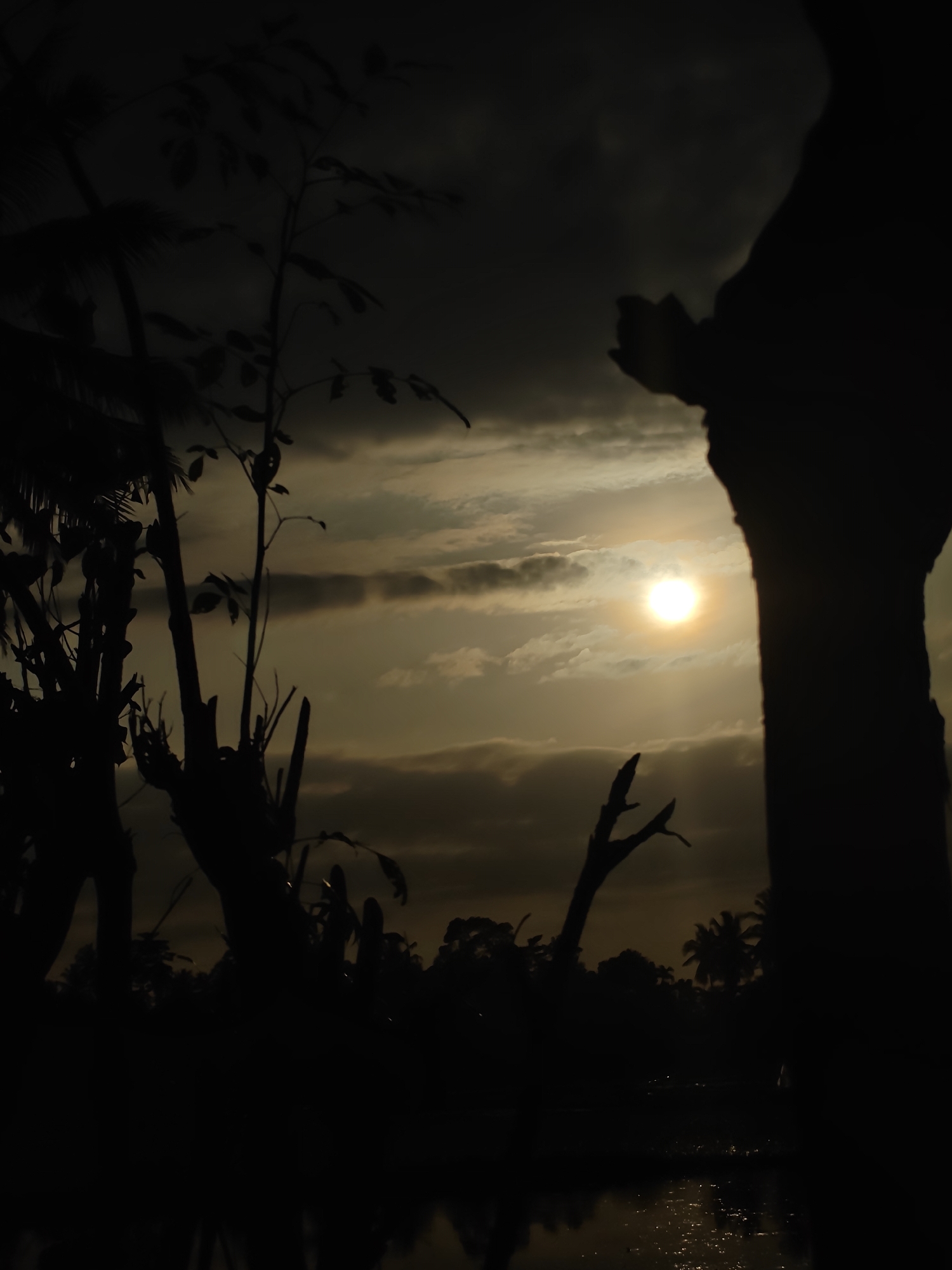 This is a silhouette photograph taken at sunset in Ubitpayaitek, Indonesia. The sun is partially obscured by clouds, casting a warm glow on the sky. In the foreground, the dark silhouettes of various trees and plants are visible, with some branches reaching towards the sky. A large, tree-like silhouette dominates the right side of the frame. In the distance, more trees, including palm trees, are silhouetted against the horizon. The bottom of the image shows a body of water reflecting the dim light of the sky. The overall mood is tranquil and serene.