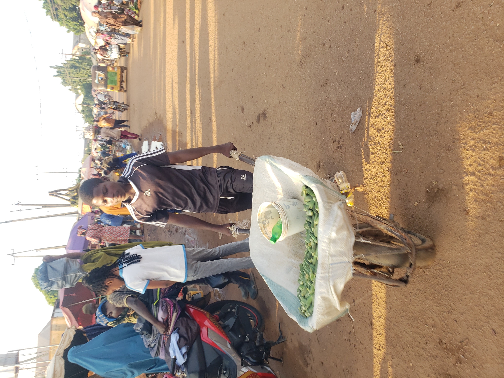 In Kakuri Gwari, Nigeria, a young male pushes a wheelbarrow filled with okra. He wears a dark t-shirt with white stripes on the sleeves and black shorts, walking on a dirt road. The wheelbarrow is covered with a white fabric, and a small white bucket with a green bottle is visible inside. The scene depicts a bustling market environment with several people in the background, some carrying goods or pushing carts, under a bright sky. A red motorcycle is parked to the left of the wheelbarrow. The ground is a mixture of dirt and scattered debris, illuminated by long shadows cast by the setting sun.