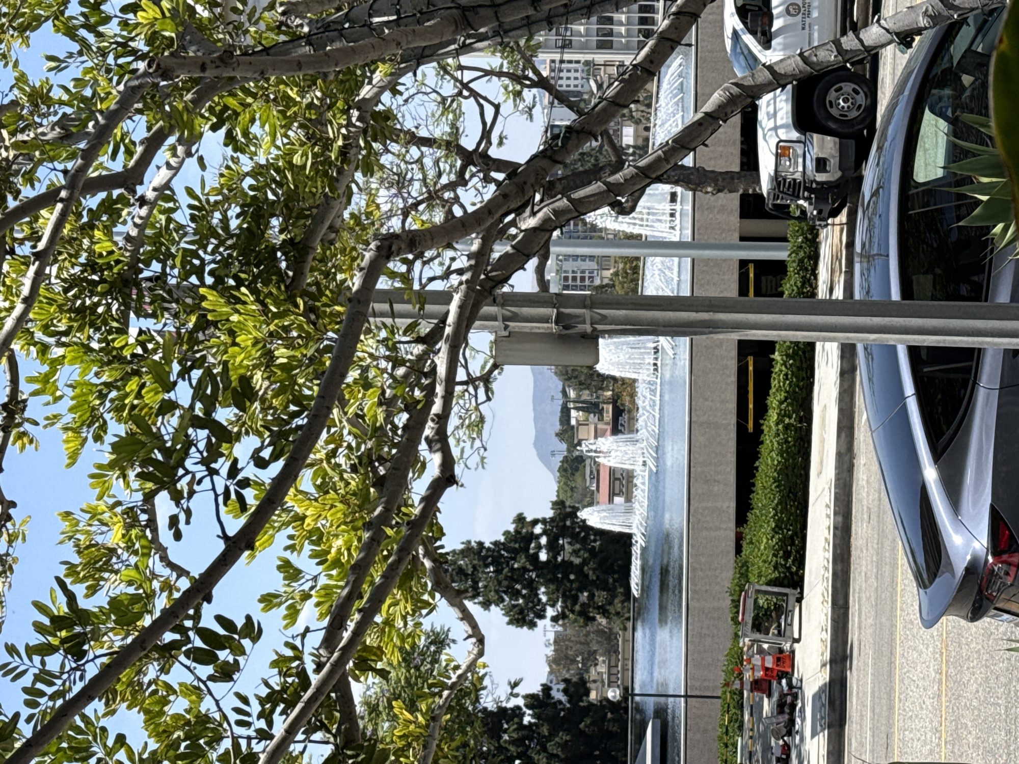 This image captures a daytime outdoor scene in the city of Los Angeles, USA. The foreground is dominated by the branches of a large tree with lush green leaves, obscuring much of the background. Through the foliage, a wide fountain with multiple jets of water is visible, set against a backdrop of modern buildings. To the right of the fountain, a white utility truck with the words "WATER & POWER" printed on its side is parked. In the immediate foreground, the rear section of a dark-colored car is visible, parked on a street. Orange traffic cones and some equipment are present on the sidewalk near the fountain. The sky is clear and blue. The scene appears to be a public space, possibly near an office building or park, given the presence of the fountain and the urban architecture.