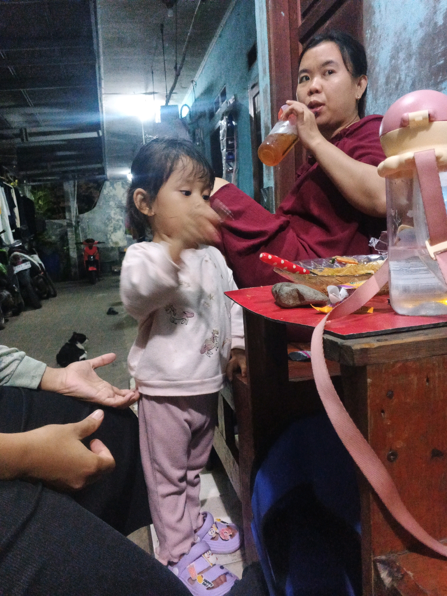 The image depicts an indoor scene at night in what is identified as the city of Kadu, Indonesia. In the foreground, a young child, approximately three years old, stands wearing a light pink long-sleeved shirt with animal graphics and light purple pants. The child has dark hair and is actively moving their hands, appearing to be reaching out. To the right of the child, a woman in a maroon shirt is seated, holding a clear bottle with a yellow liquid and drinking from it. She has dark hair pulled back. Beside her is a tall, clear plastic water bottle with a pink lid and strap. On a red-surfaced table between the woman and the child, there is a clear bowl containing food items, including what appears to be noodles and vegetables, along with a red and white polka-dotted spoon and a small gray rock. To the left of the child, a person's hands are visible, resting on dark fabric. In the background, the environment appears to be a covered outdoor area, possibly a porch or garage, with several motorcycles parked and laundry hanging. A small black and white cat is sitting on the ground to the left of the child. The lighting suggests artificial illumination, with visible overhead lights and a slightly dark, ambient atmosphere.