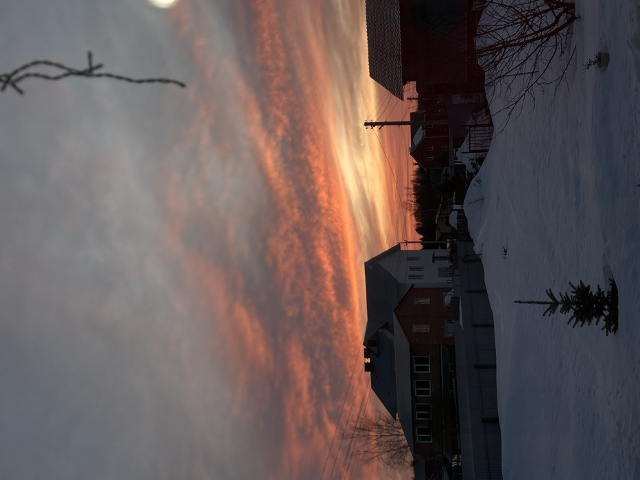 The image depicts a winter landscape in Ольховка, Russia, at either sunrise or sunset, characterized by a vibrant sky and snow-covered ground.
The top portion of the sky transitions from dark grey-blue at the zenith to intense orange, red, and pink hues closer to the horizon, with elongated, horizontal cloud streaks across the middle. A blurry, dark, irregular string-like object hangs vertically in the upper right quadrant, close to the camera, alongside a faint, bright circular light anomaly.
The foreground is entirely covered in undisturbed snow. A small, dark green evergreen sapling stands vertically in the lower-center, partially embedded in the snow. To its right, bare branches of a dormant bush or small tree are visible, extending into the frame, with a small potted object at its base.
In the midground, a dark grey metal fence separates the snowy expanse from a cluster of buildings. On the left, a large, two-story house features a reddish-brown brick lower section with multiple dark-framed windows and a lighter, possibly white or pale, upper section, topped with a grey gabled roof and two visible chimneys. To the right, another building with a dark, possibly red, roof is partially obscured. Further right, a dark utility pole with power lines extends upward against the bright sky, with another house partially visible on the far right, featuring a dark, gabled roof. Patches of snow and bare deciduous trees are interspersed among the structures.
The background shows a distant horizon line marked by a dark silhouette of trees and possibly more residential structures, contrasting with the bright lower sky.