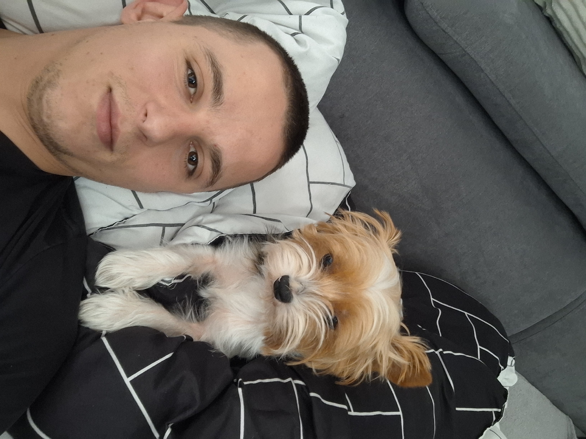 A close-up, overhead photograph taken indoors in Gunzenhausen, Germany, depicts a male individual and a small dog resting side-by-side on bedding. The male, positioned in the lower-left of the frame, possesses a light complexion, closely-cropped dark hair, and brown eyes, wearing a black t-shirt. He lies on a white pillow patterned with a grey grid. Adjacent to him on the right, a small dog, identified by its light brown, blonde, and white fur and prominent erect ears, is partially covered by a black duvet featuring a white geometric line pattern. The dog's black nose and dark eyes face the camera directly. A dark grey upholstered surface, likely furniture, is visible in the upper-left background. Both subjects are presented in a relaxed, prone position, directly facing the camera.