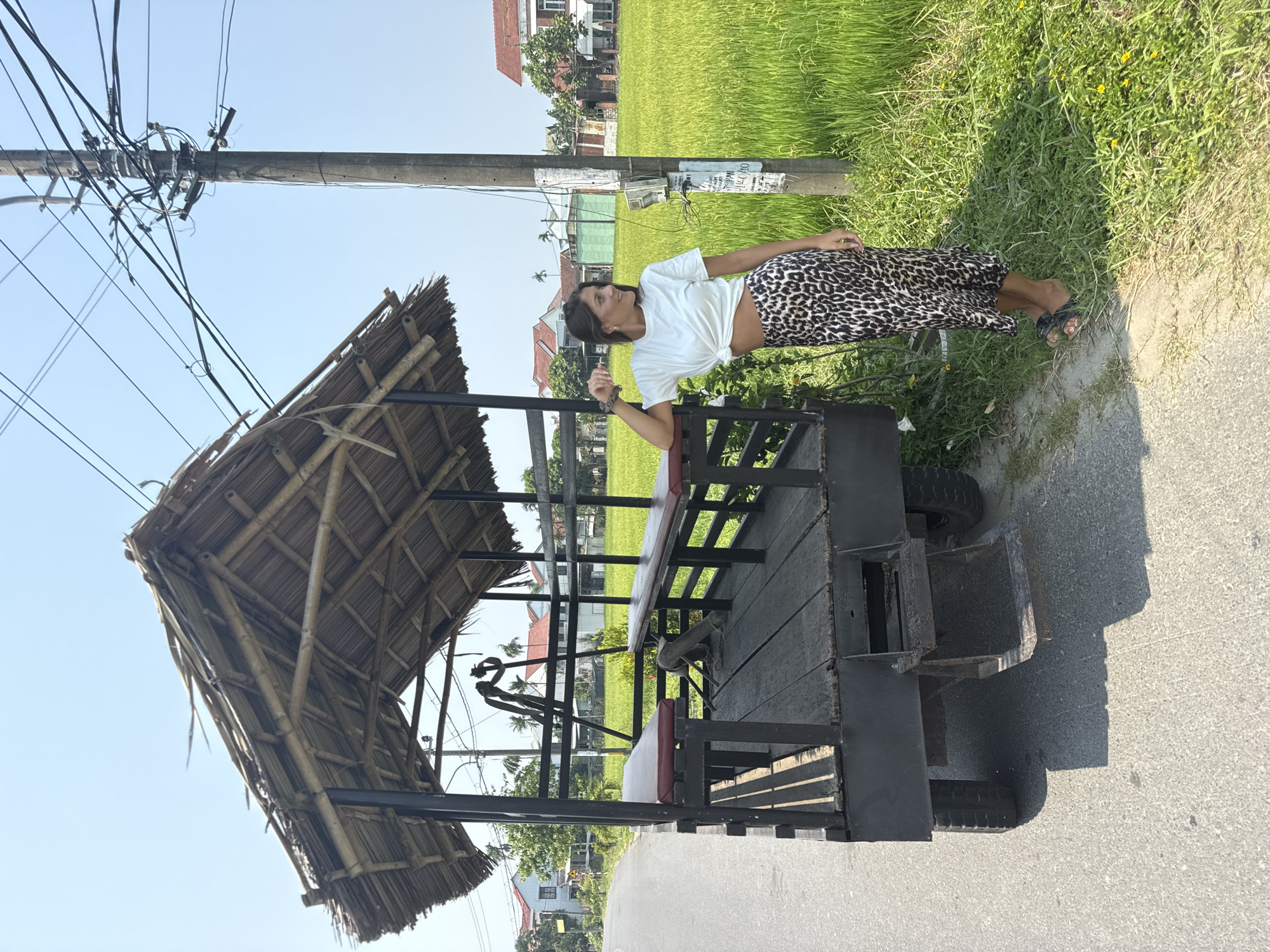 A horizontal, full-shot captures a woman leaning against a parked utility vehicle in what appears to be a rural or peri-urban environment in Vietnam.
The woman has shoulder-length dark hair and wears a white, short-sleeved tied shirt that reveals her midriff, leopard-print leggings, and sandals. She is casually leaning with her right arm against the utility vehicle and looks to her left.
The utility vehicle has a wooden platform with metal framing, two rows of seating, and a thatched roof made of bamboo. It is parked on the side of a paved road next to a patch of grass.
Behind the vehicle, a lush green rice paddy stretches towards a row of houses. An utility pole with complex wiring is present on the left side of the image, adding to the rural aesthetic.
The location appears to be outside the central urban core of Đà Nẵng, suggested by the paddy field. The weather is sunny, as indicated by the clear blue sky and shadows. The overall composition suggests a moment of rest or observation in a quiet, rural setting.