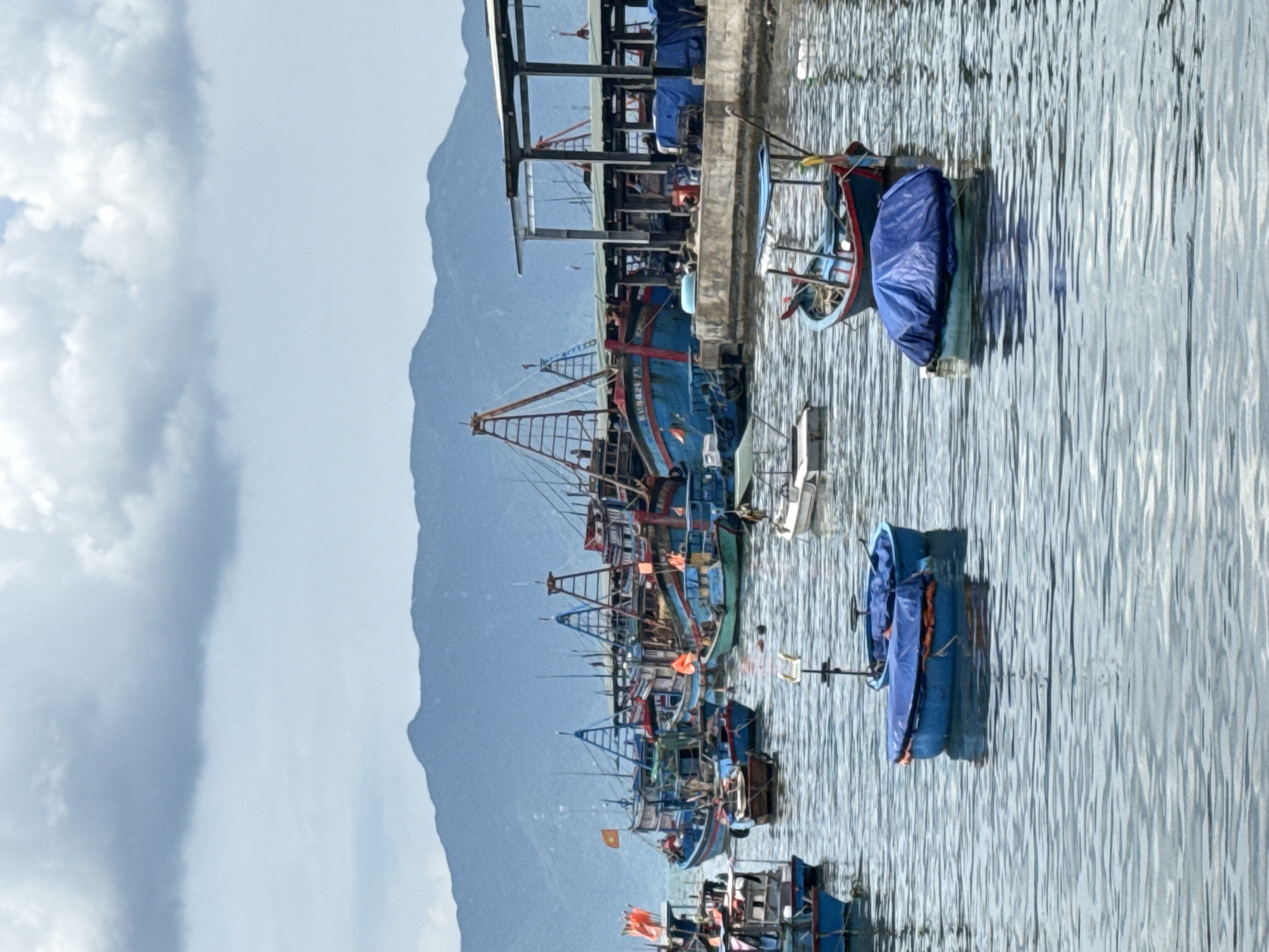 The image depicts a harbor in Vĩnh Lương, Vietnam, filled with numerous fishing boats. The boats vary in size and color, with many painted in shades of blue and red, and some displaying orange life vests. Several boats have tall structures, possibly for fishing nets or sails. In the background, a long, low building with a covered roof supported by columns is visible along the waterfront. Behind the harbor, a range of mountains forms the distant backdrop under a cloudy sky. The water in the harbor is calm, with reflections of the boats and the sky visible on its surface. Some smaller boats are covered with blue tarps.