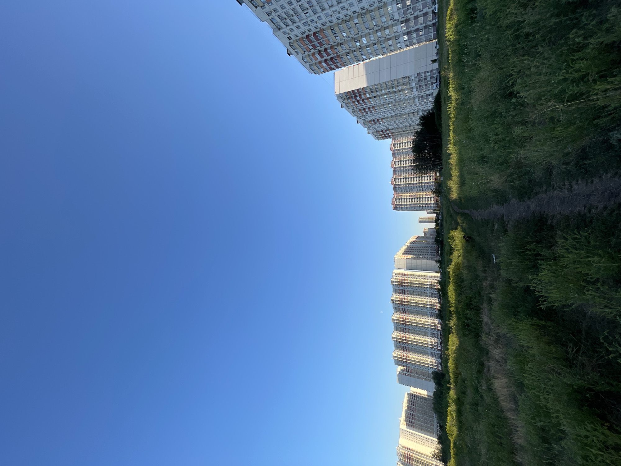 The image shows a view of a residential complex with tall, modern apartment buildings under a clear blue sky. The buildings are white with red accents and many windows, suggesting a contemporary urban environment. In the foreground, a path winds through a field of tall green grass and weeds. The scene appears to be set in the late afternoon or early evening, with soft sunlight illuminating the landscape and buildings. It is possible that this is a view of the "Zolotaya Orda" (Golden Horde) residential complex in Rostov-on-Don, Russia, which is known for its distinctive architecture and location.