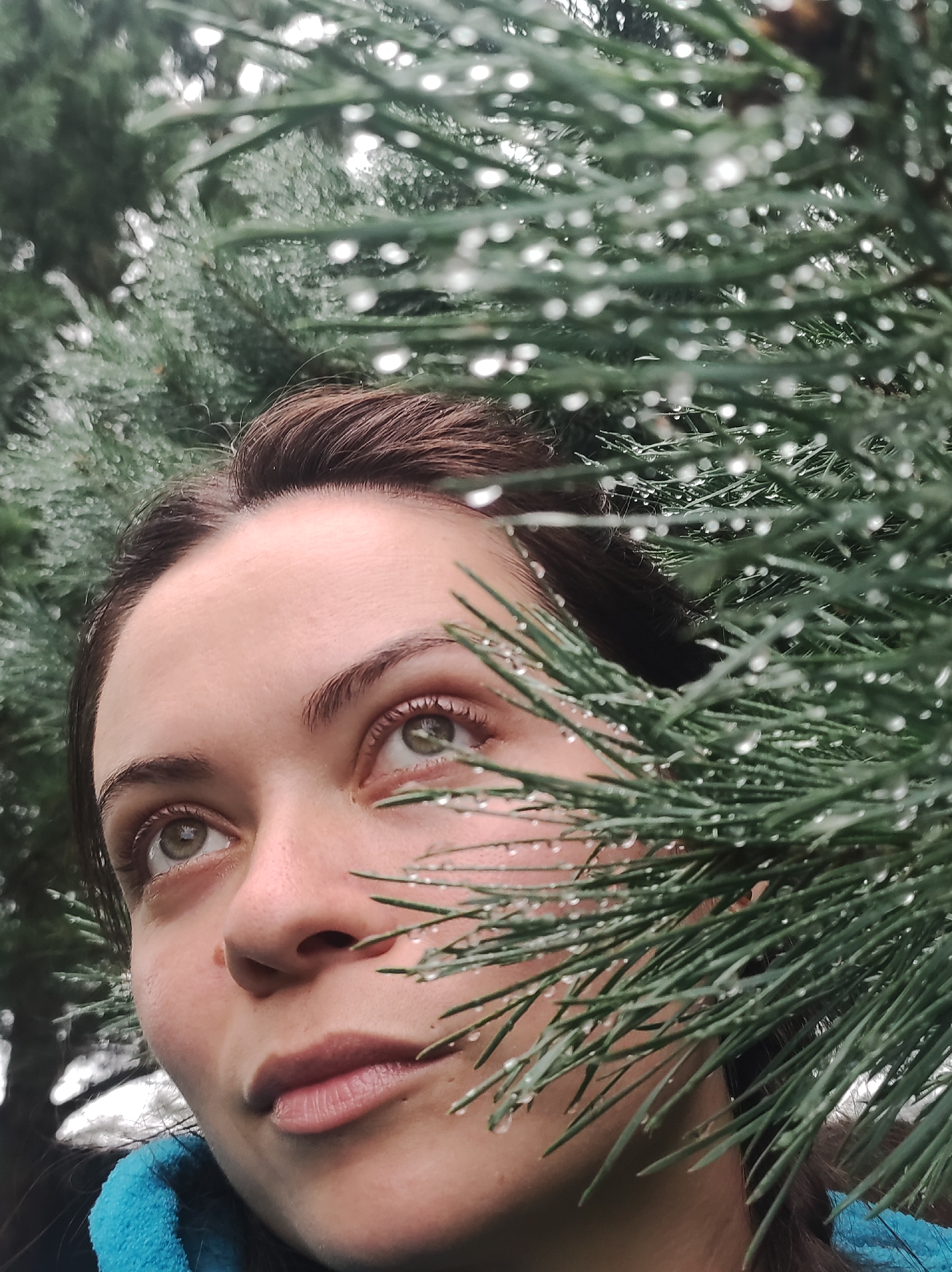 The image is a close-up, outdoor portrait of a woman looking upwards, partially obscured by pine needles. The woman has brown hair and green eyes, and her face is turned to the left, with her gaze directed upwards and to the right. Water droplets are visible on the pine needles, suggesting a damp environment, possibly after rain. She is wearing a blue hooded jacket. The background consists of blurred green pine branches and a muted, overcast sky. The location is identified as Фоки, Russia.