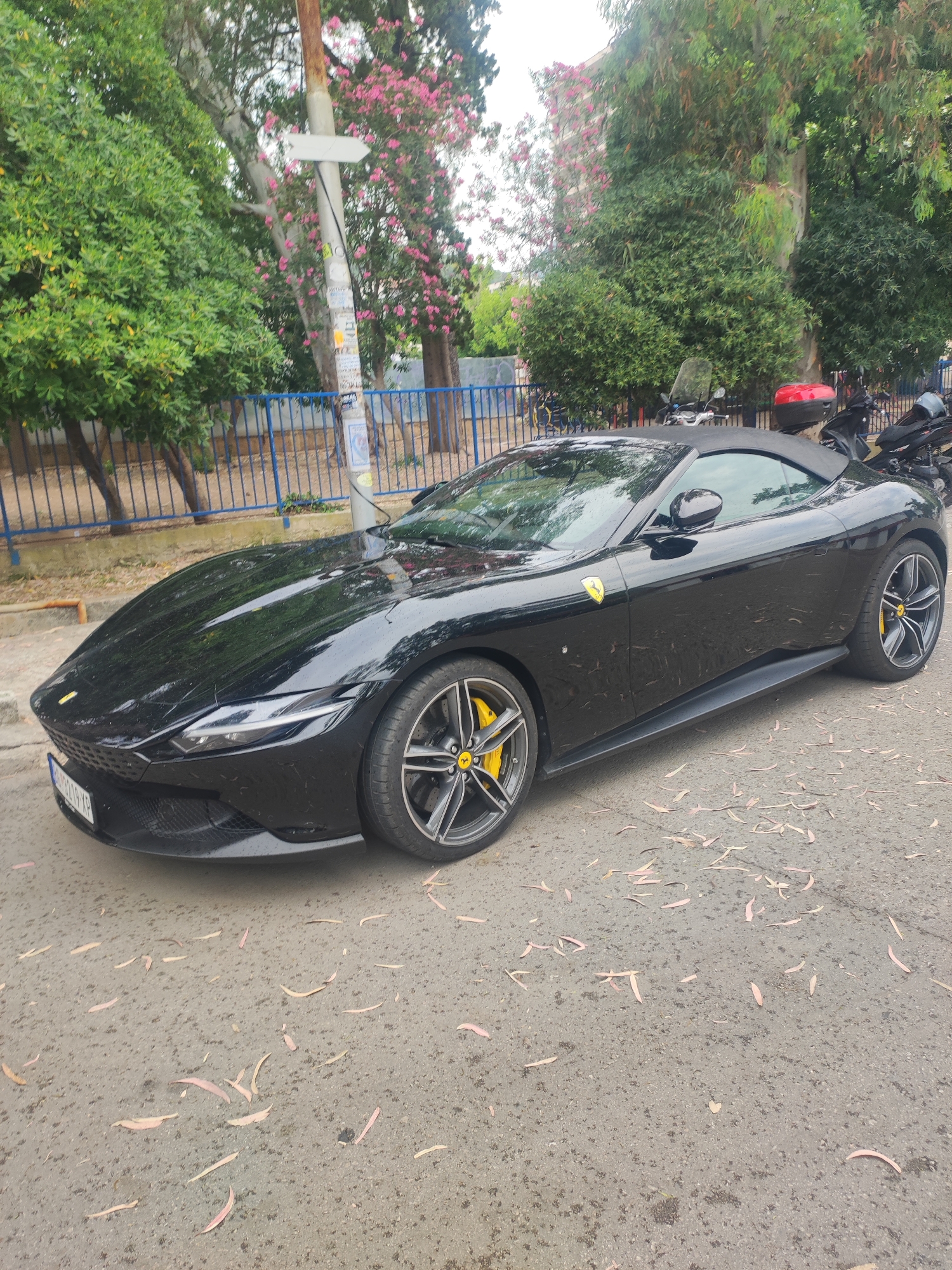 A sleek black Ferrari convertible, likely a Roma Spider or a Portofino M, is parked on an asphalt road in Budva, Montenegro. The car features prominent yellow Ferrari badges on its fenders and striking yellow brake calipers visible through its dark grey multi-spoke wheels. Its soft top is up, and the car's surface appears slightly damp or speckled, reflecting the ambient light. The front license plate is partially visible, displaying "207-XP" on a European-style plate.
The road surface in the foreground and around the car is scattered with numerous pale, elongated leaves. The background is lush with vegetation, including several large trees with vibrant green foliage and others adorned with pink blossoms, possibly oleander or bougainvillea. A blue metal fence runs along the edge of the road, separating it from the greenery. A utility pole, covered with various stickers bearing indistinct text, stands by the fence and features a plain white directional arrow sign pointing to the right. Behind the Ferrari, several motorcycles or scooters are parked, one notably fitted with a bright red top box. The scene takes place during the daytime under what appears to be an overcast sky, resulting in soft, diffused lighting.