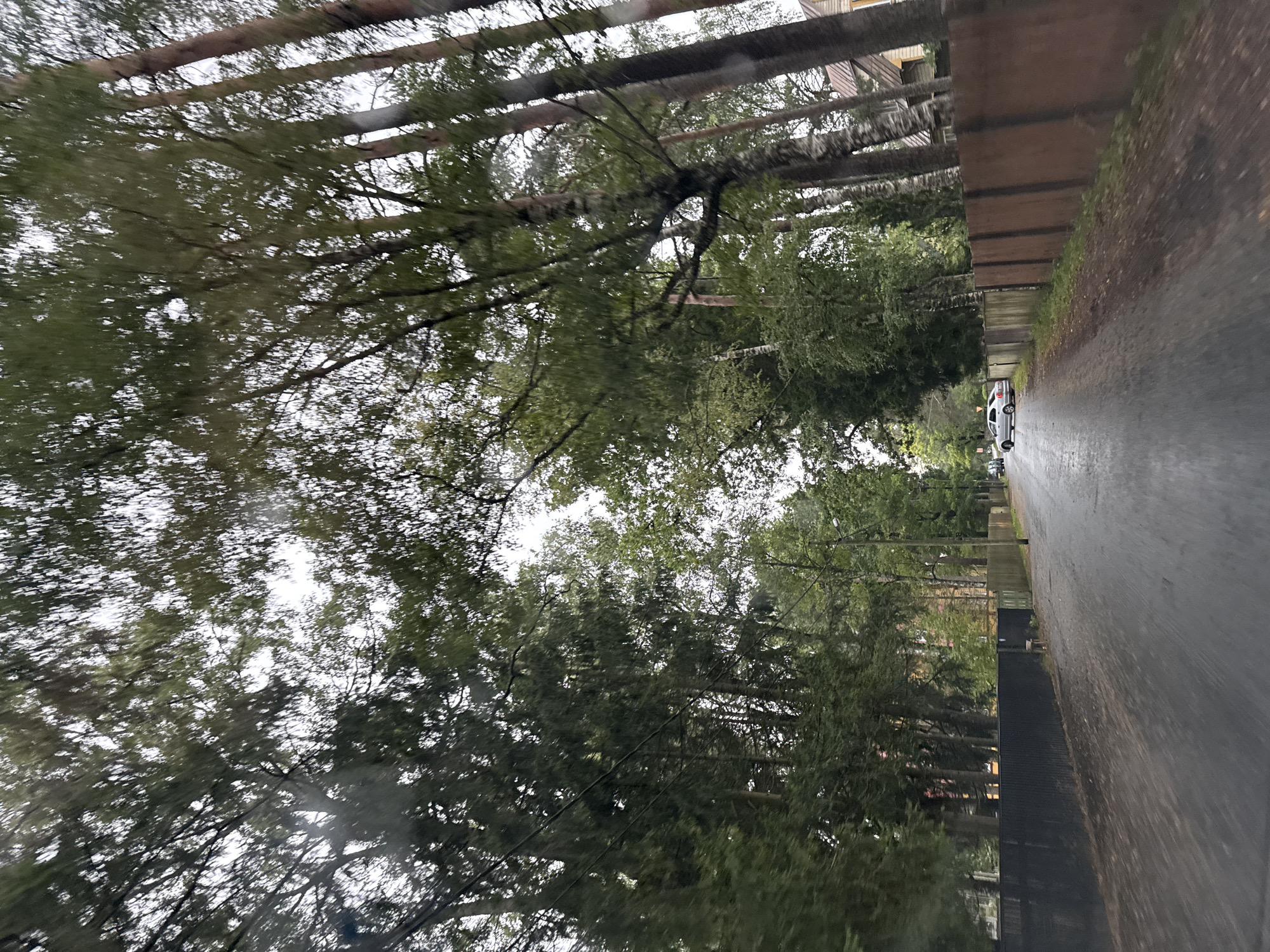 A view from a vehicle looking down a wet, paved road lined with trees. On the left, there is a dark fence, and on the right, a wooden fence with some houses visible behind it. A silver sedan is parked on the side of the road on the left. The scene appears to be in a residential area with a canopy of trees overhead. The sky is overcast, and the overall lighting suggests it is daytime, possibly in the late afternoon or early morning.