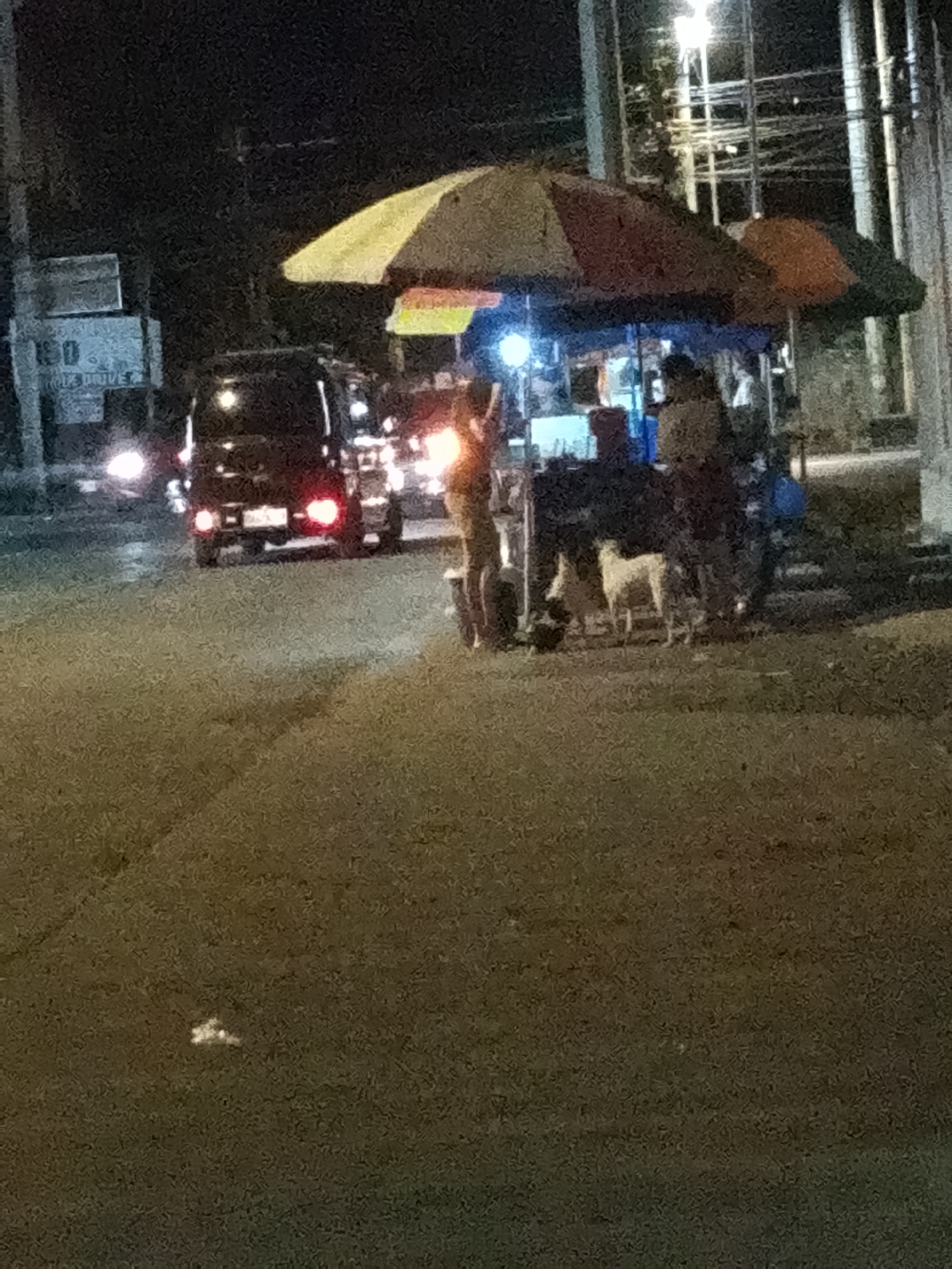 The image depicts a nighttime street scene in Davao City, Philippines, with a focus on a food stall. The stall is covered by a multi-colored awning, likely red, yellow, and green. Underneath the awning, there are several people, some appearing to be vendors and others customers. One person in the foreground is standing near the stall, while others are obscured by the darkness or the stall itself. There are at least two dogs visible near the stall, one a light-colored medium-sized dog and another darker one. The street is paved, and the atmosphere suggests a typical busy evening in a city.
In the background, vehicles are visible, with headlights and taillights illuminating the scene. A dark-colored van or SUV is prominently in the left-center of the image, its brake lights illuminated. Other vehicles are present, and traffic lights or streetlights are also visible, contributing to the nighttime ambiance. A signpost with the number "150" is partially visible on the left side of the image, alongside some text that is difficult to decipher clearly due to the image quality but appears to be part of a street name or business advertisement. The overall lighting is low, with artificial lights from the stall and vehicles creating highlights and shadows. The ground appears to be a mixture of asphalt and perhaps some grassy areas near the stall. The scene suggests a vibrant street food vending area that is active during the evening hours in a Filipino city.