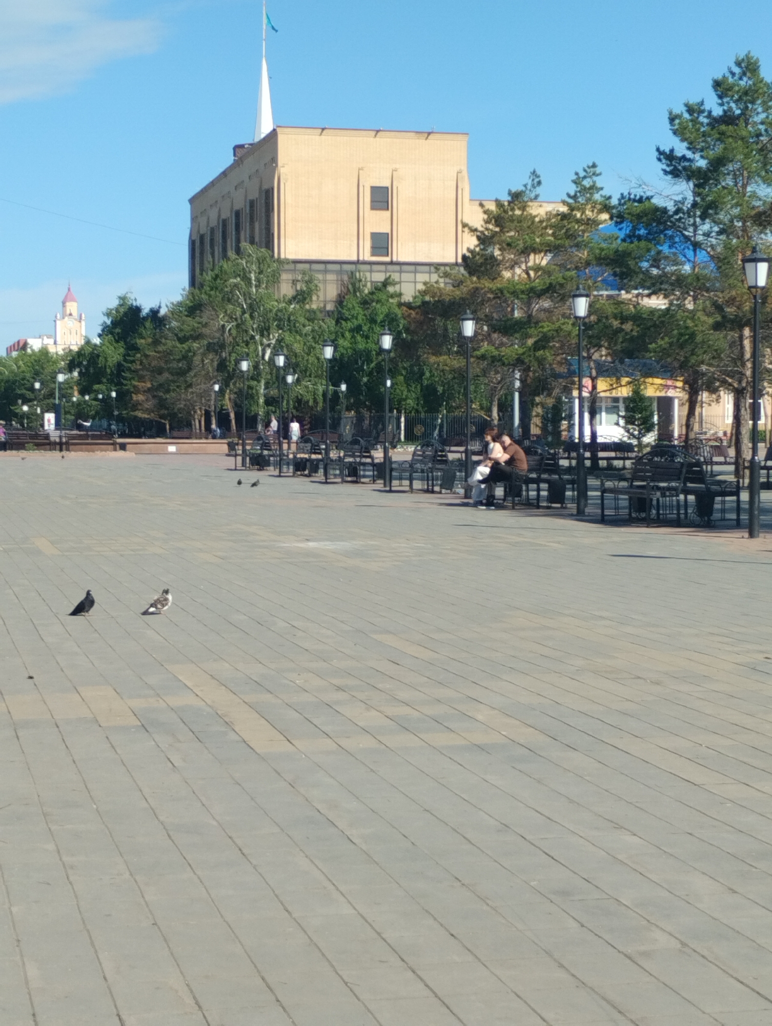 This image depicts a sunlit public square, identified as Abay Square, in Kostanay, Kazakhstan, with the Kostanay Regional Akimat building prominent in the background. The large, light-ochre Akimat building features a white spire topped with a light-blue flag, against a clear blue sky. To the far left in the distance, a red-roofed building with a clock tower is visible.
The square's foreground and mid-ground consist of light-grey and light-brown rectangular paving stones. Numerous black, traditional-style street lamps with white luminaires are evenly spaced throughout the square. Many dark-colored benches are present, arranged in rows. On one such bench in the mid-right, a couple is seated; one individual wears a light-colored top and the other a dark brown top. Other indistinct figures are visible on benches and walking in the distant background.
In the foreground, two pigeons are on the paved surface: one is dark grey/black, and the other is mottled light grey and white. Several smaller, dark birds, likely pigeons, are scattered further back on the paving near the benches. Green trees with full foliage line the square, obscuring parts of other background structures, including a building with a blue reflective roof segment on the right. The scene is illuminated by bright sunlight, casting visible shadows.