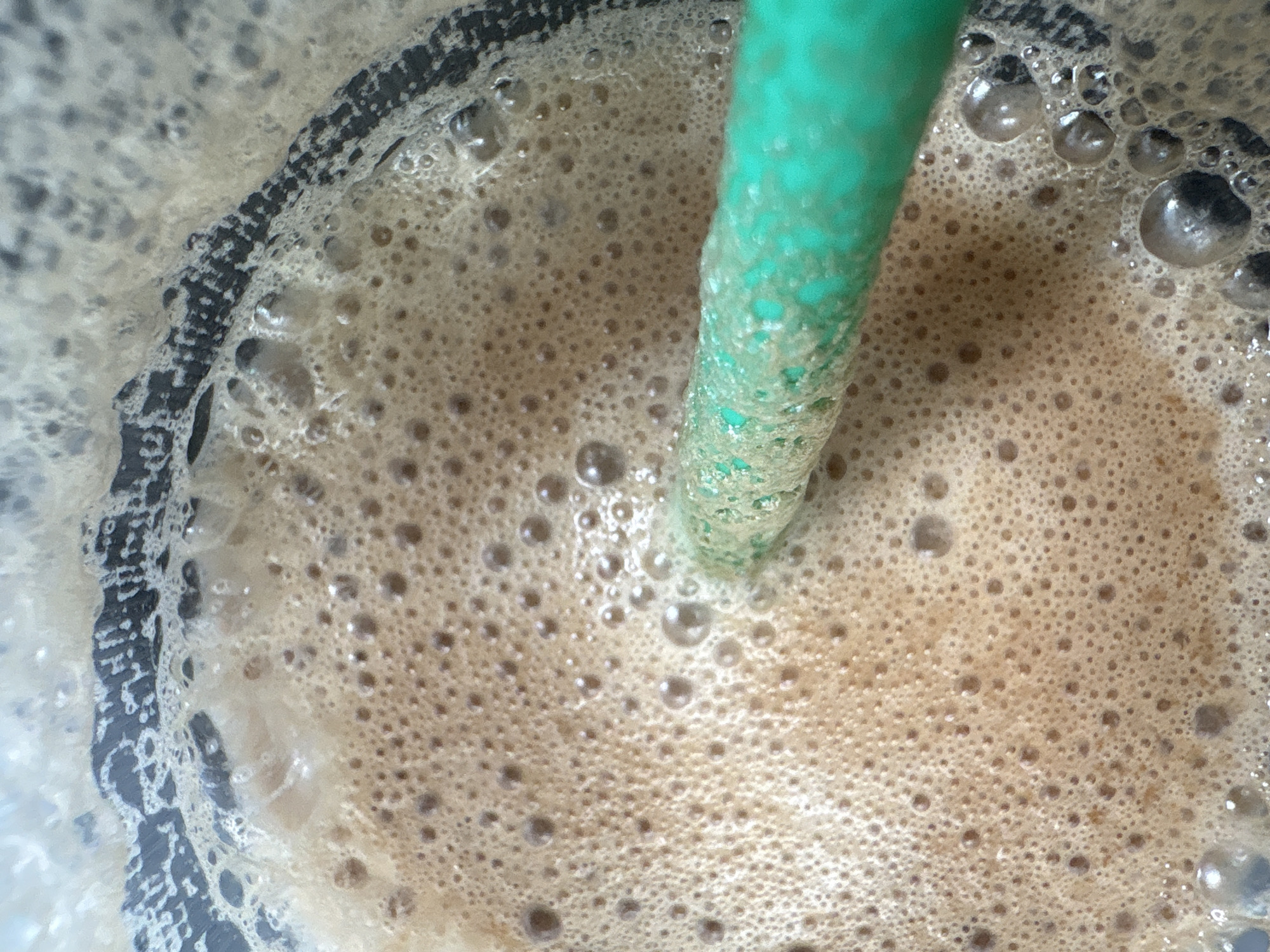 A close-up, overhead view captures the bubbly surface of a light brown, foamy beverage inside a cup. A bright green straw is partially submerged in the drink, extending downwards from the top right of the frame. The surface of the drink is covered in a dense layer of foam, composed of countless bubbles ranging in size from minute to several millimeters in diameter. These bubbles reflect light, giving them a glossy appearance.
On the left side of the image, the dark, textured rim of the cup is visible, featuring an irregular, speckled pattern of black and lighter gray or white marks. The green straw itself appears to have some of the beverage's foam or residue clinging to its submerged portion, indicating it is actively in use or has just been placed in the drink. The main body of the liquid below the foam appears to be a consistent light brown color. The perspective is intimate, focusing entirely on the drink's surface and immediate surroundings within the cup. No specific location or time of day is discernible, and there is no visible text.