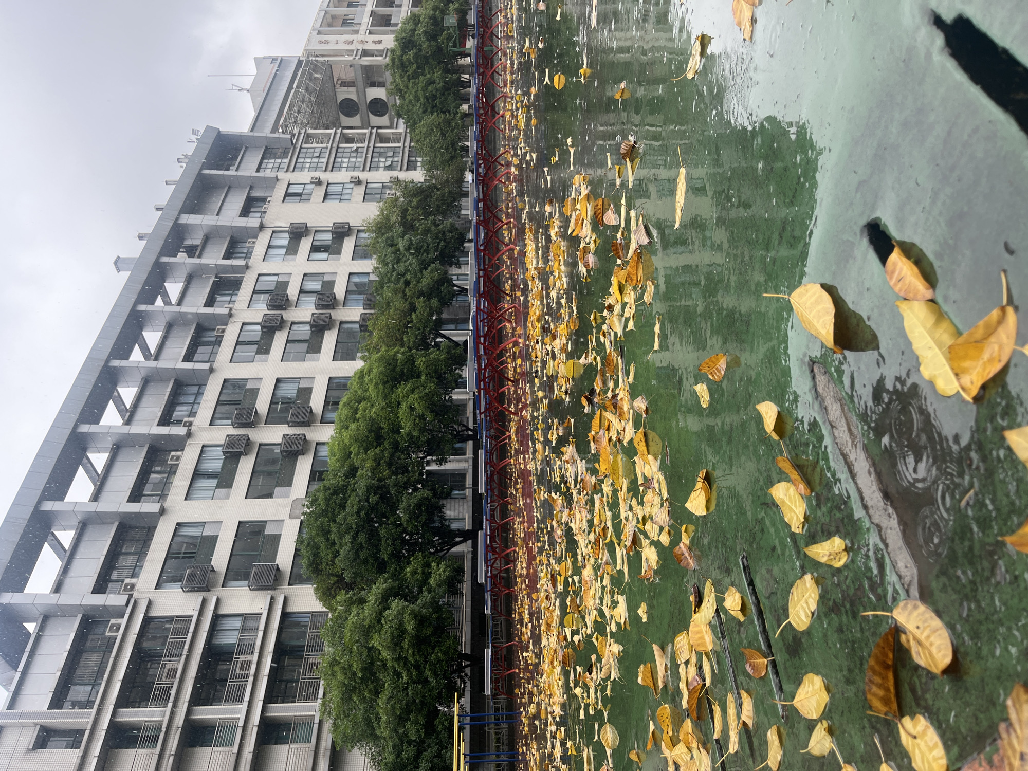 A wide shot depicts an urban scene under overcast conditions, with the image rotated 90 degrees counter-clockwise. A tall, multi-story building with a light-colored facade, featuring numerous windows and external air conditioning units, occupies the left side of the frame. Blurry Chinese characters, possibly reading "上學" (meaning "go to school" or "on campus"), are visible on a sign near the building's top, suggesting an educational institution.
Running parallel to the building is a line of lush green trees. A distinct red fence or barrier separates these trees from a large, green-tinted body of water in the foreground, which takes up the right half of the image. This water, likely a large puddle or flooded area, is densely covered with fallen yellow and some brown leaves. Ripples on the water's surface indicate recent or ongoing precipitation. Small white specks are visible in the air, possibly raindrops or very light, melting snow. The abundance of yellow leaves suggests an autumn setting. The sky above is gray and overcast. No people are visible in the scene, which is set in Yuzhong District, China.