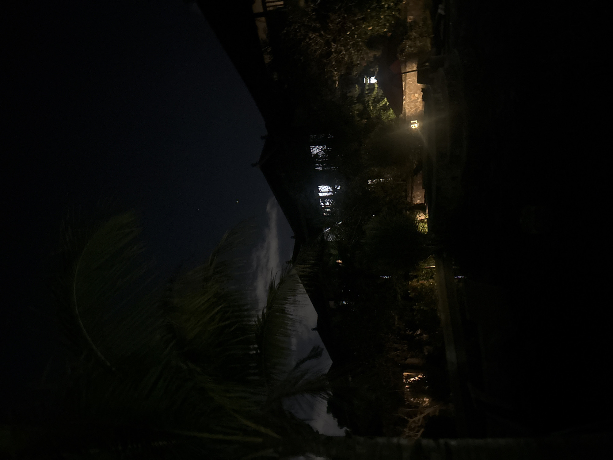 The image, possibly taken at night in Ungasan, Indonesia, shows a dark scene with a blend of natural and artificial elements. A palm tree is silhouetted against the dark sky, and a building with lit windows is visible. The area appears to be landscaped with other vegetation. The lighting suggests a residential or resort area with nighttime illumination.