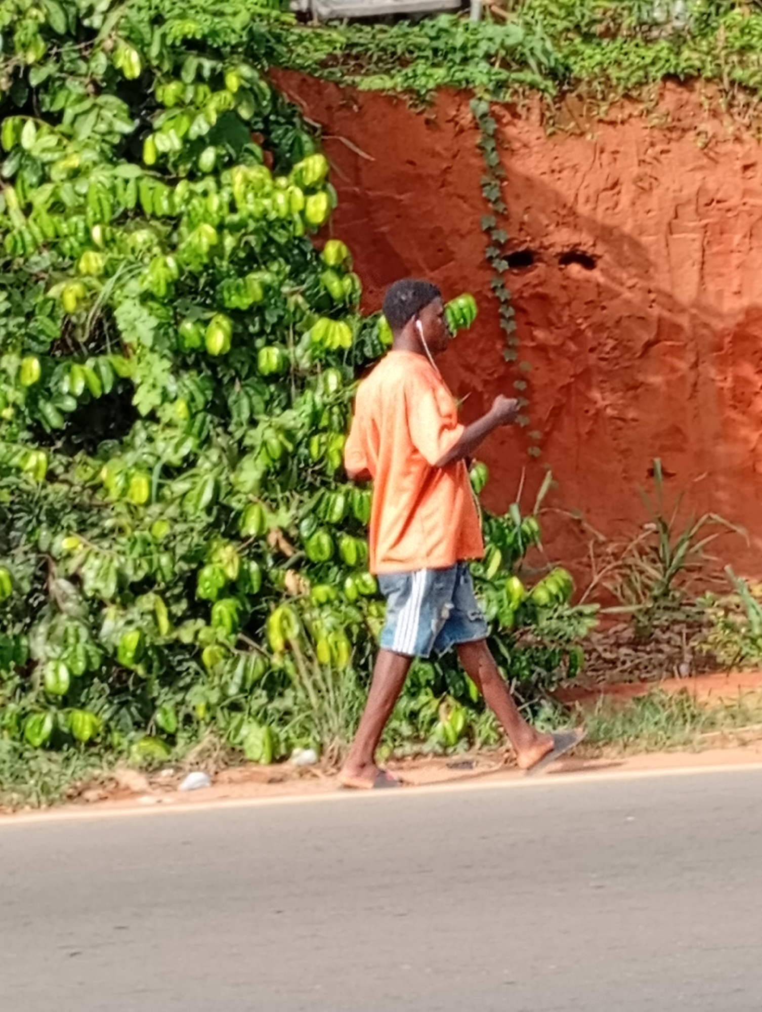 A young man is walking on the shoulder of a road in Nkpor, Nigeria. He is wearing an orange t-shirt, denim shorts, and sandals. He has earbuds in and appears to be using a mobile device. To his left is dense green vegetation, and to his right is an orange dirt wall. The road surface is visible in the foreground.