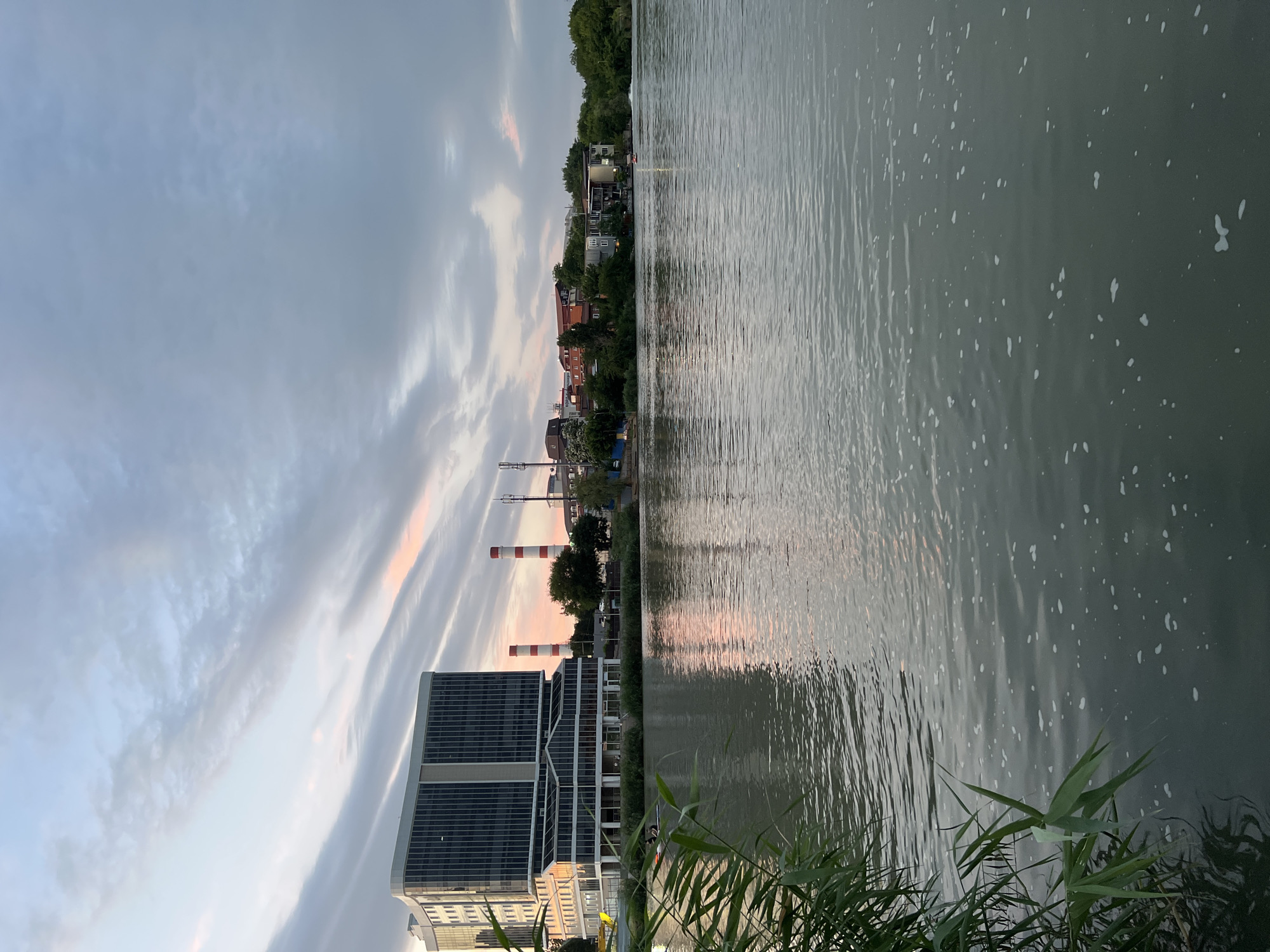 A wide shot captures a waterfront scene in Krasnodar, Russia, at dusk. The sky is a dramatic mix of grey clouds streaked with soft pink hues, reflecting on the calm water. In the foreground, tall green reeds frame the left side of the image, their blades casting dark shadows. The water itself is a murky green-grey, with small white bubbles scattered across its surface.
Across the water, a modern multi-story building with dark windows dominates the left bank. To its right, two tall industrial chimneys, one red and white striped, stand out against the sky. Beyond these, a low-lying collection of buildings with red-tiled roofs and lush green trees line the shoreline, punctuated by telecommunication towers. The overall impression is one of an urban industrial area transitioning into evening.