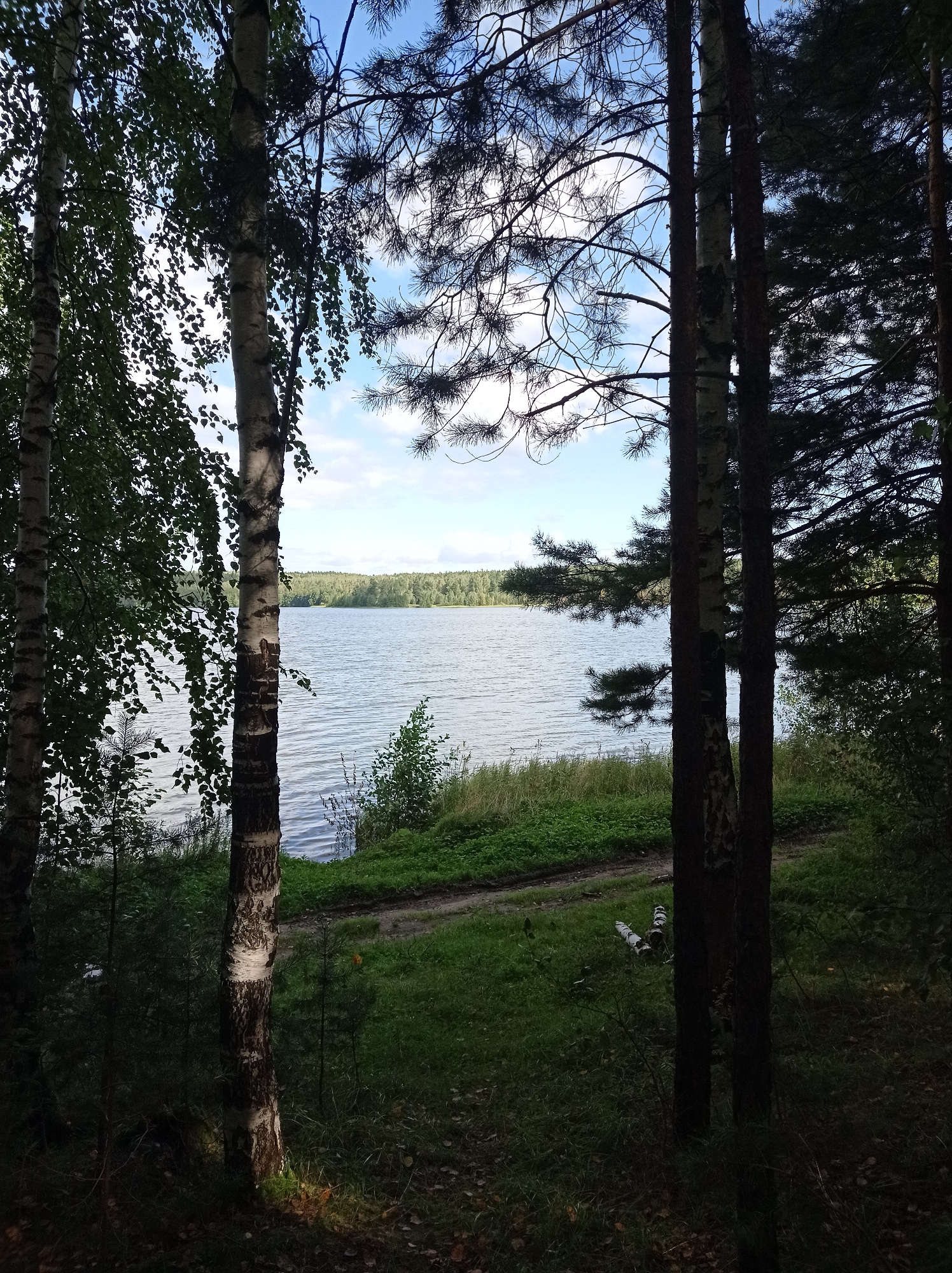 The image depicts a serene natural scene beside a body of water, likely a lake or large pond, on a partly cloudy day. In the foreground, several trees frame the view. On the left, two birch trees stand tall, their white bark contrasting with their green foliage. To the right, darker, coniferous trees with dense branches partially obscure the sky and the water. A dirt path winds through the grassy bank between the trees and the water. The water itself is calm with a gentle ripple, reflecting the blue sky and scattered white clouds. The far shore is lined with a dense, green forest. The overall impression is one of peaceful natural beauty. The location is identified as the city of Degtyarsk, Russia.