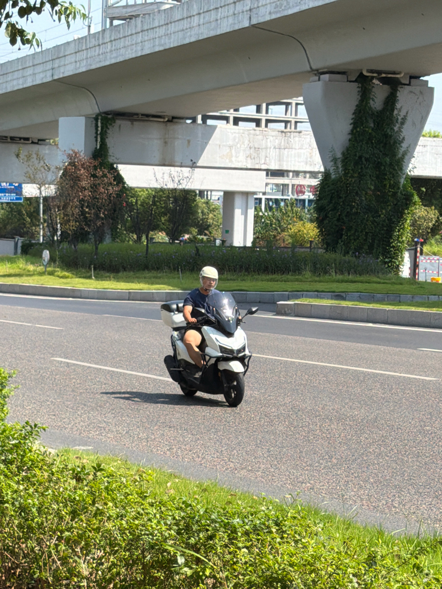 A man wearing a white helmet rides a white scooter on a road in Jiangjin District, Chongqing, China. The scooter has a black seat and a black storage box behind the seat. The man is wearing a dark blue t-shirt and shorts. He is looking straight ahead. The road has white lane markings. In the background, there is a raised concrete structure with green vines growing on it, likely part of an elevated road or bridge. Beyond the structure, there are trees and buildings. The sun is shining, casting shadows on the road. The foreground is a grassy area with some bushes.