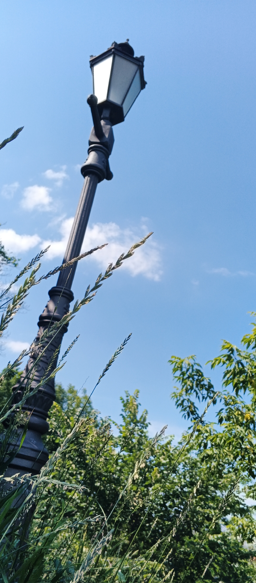 The image shows a black antique-style lamppost against a clear blue sky with scattered white clouds. Tall green grass and foliage are in the foreground, partially obscuring the base of the lamppost. Green trees are visible in the background. The image appears to be taken outdoors in a park or along a street in Kyiv, Ukraine, possibly in a historical district, given the style of the lamppost. No people or animals are present in the image.