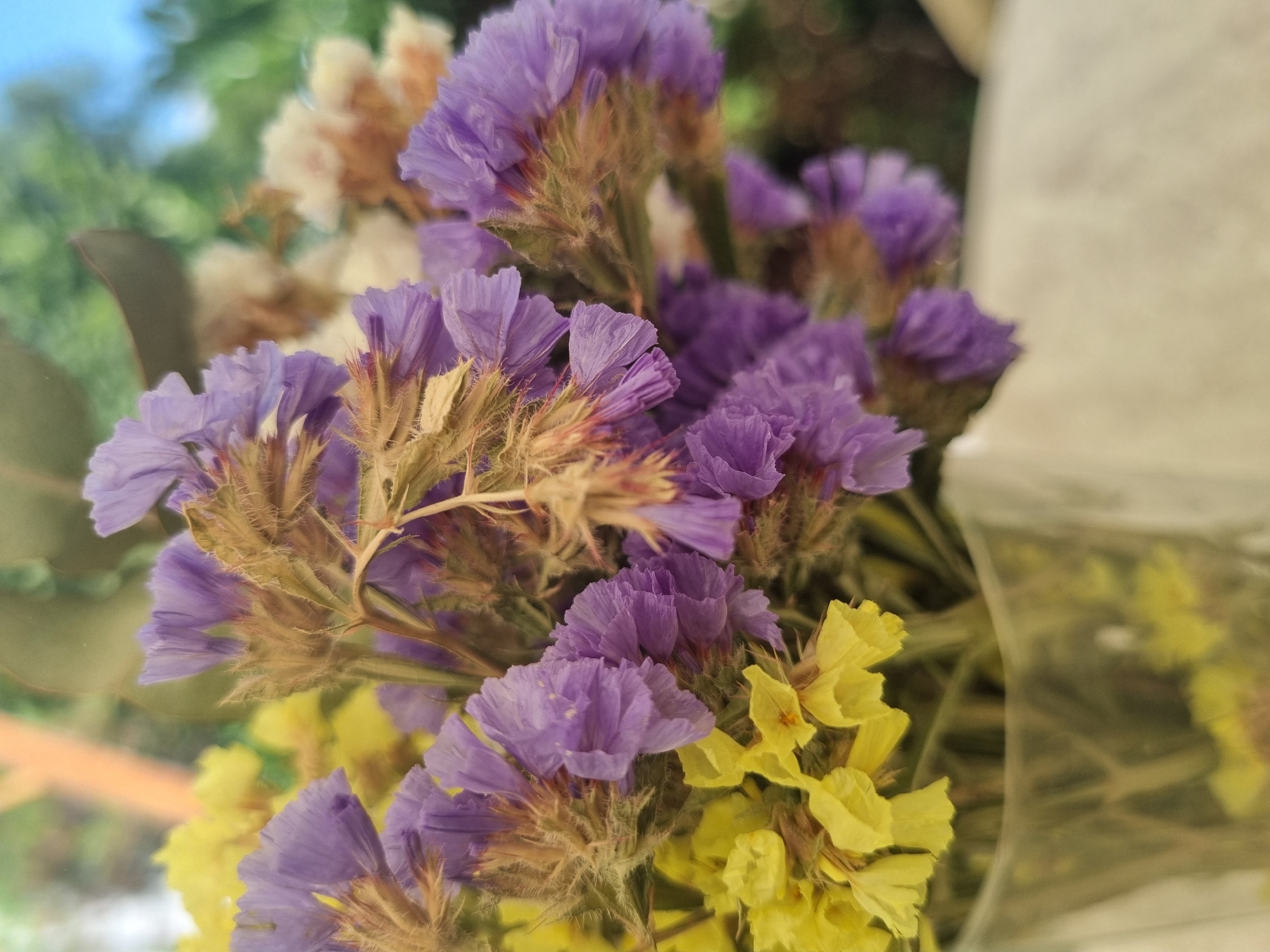 A close-up shot focuses on a bouquet of dried flowers in a clear glass vase. The bouquet is composed of small, delicate purple and yellow flowers with thin, dried stems and some beige-colored filler flowers. The background is softly blurred, showing hints of green foliage and a pale blue sky, suggesting an outdoor or indoor setting with natural light. The flowers appear to be arranged loosely, with some branches extending higher than others. The overall impression is one of natural beauty and a rustic aesthetic.