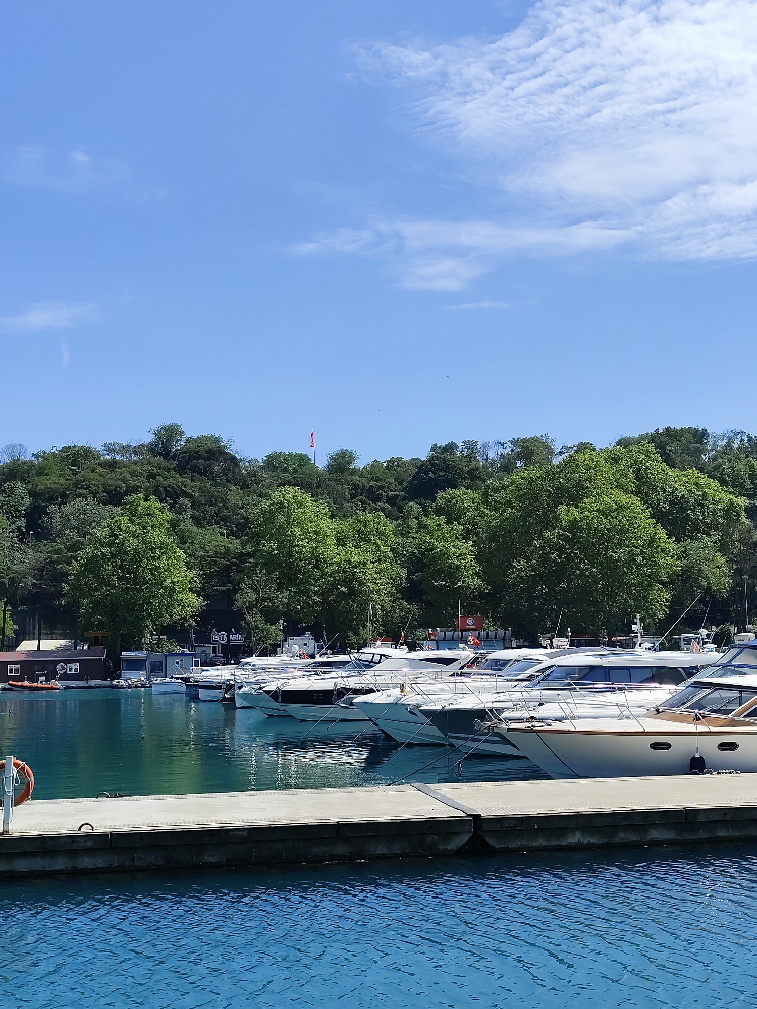 The image presents a serene daytime scene at a marina, likely in Sarıyer, Turkey, as indicated by the context. In the foreground, a concrete dock extends across the lower portion of the frame, with a white and orange lifebuoy attached to a post on the left. The water immediately surrounding the dock is a deep blue, showing subtle ripples.
The midground features a line of sleek, white motor yachts or powerboats moored side-by-side, their hulls reflecting in the calm, clear turquoise waters of the harbor. These boats appear modern and well-maintained.
Behind the boats and waterfront, a lush, densely forested hillside dominates the background. The trees are a vibrant green, indicating warm weather. Scattered amongst the trees and along the shoreline are several small buildings. One notable structure bears a sign with the partial text "ISTI ARIN" (possibly "ISTIN MARIN"). On the hillside, a red flag, potentially the Turkish flag, is visible flying from a pole.
The sky is a bright, clear blue, with only a few wispy white clouds scattered across the top. The overall impression is one of peacefulness and good weather, with no direct human activity visible.
