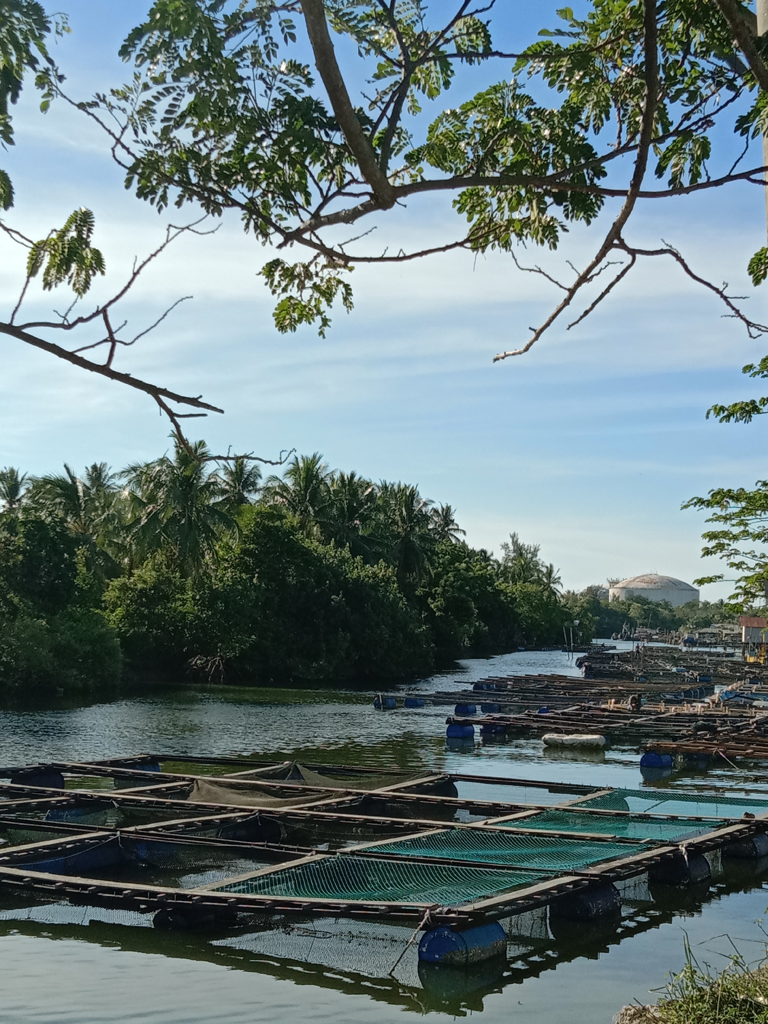 The image depicts a river scene, possibly in Lhokseumawe, Indonesia, given the context. The river is filled with aquaculture structures, specifically floating fish cages, characterized by blue buoys and netting. Lush vegetation, including palm trees, lines the riverbank on the left. The foreground shows the fish cages in detail, reflecting in the water. A large, dome-shaped structure is visible in the distance, possibly a water tower or industrial facility. Tree branches with green foliage frame the top of the image, creating a natural border. The sky is light blue with scattered clouds.