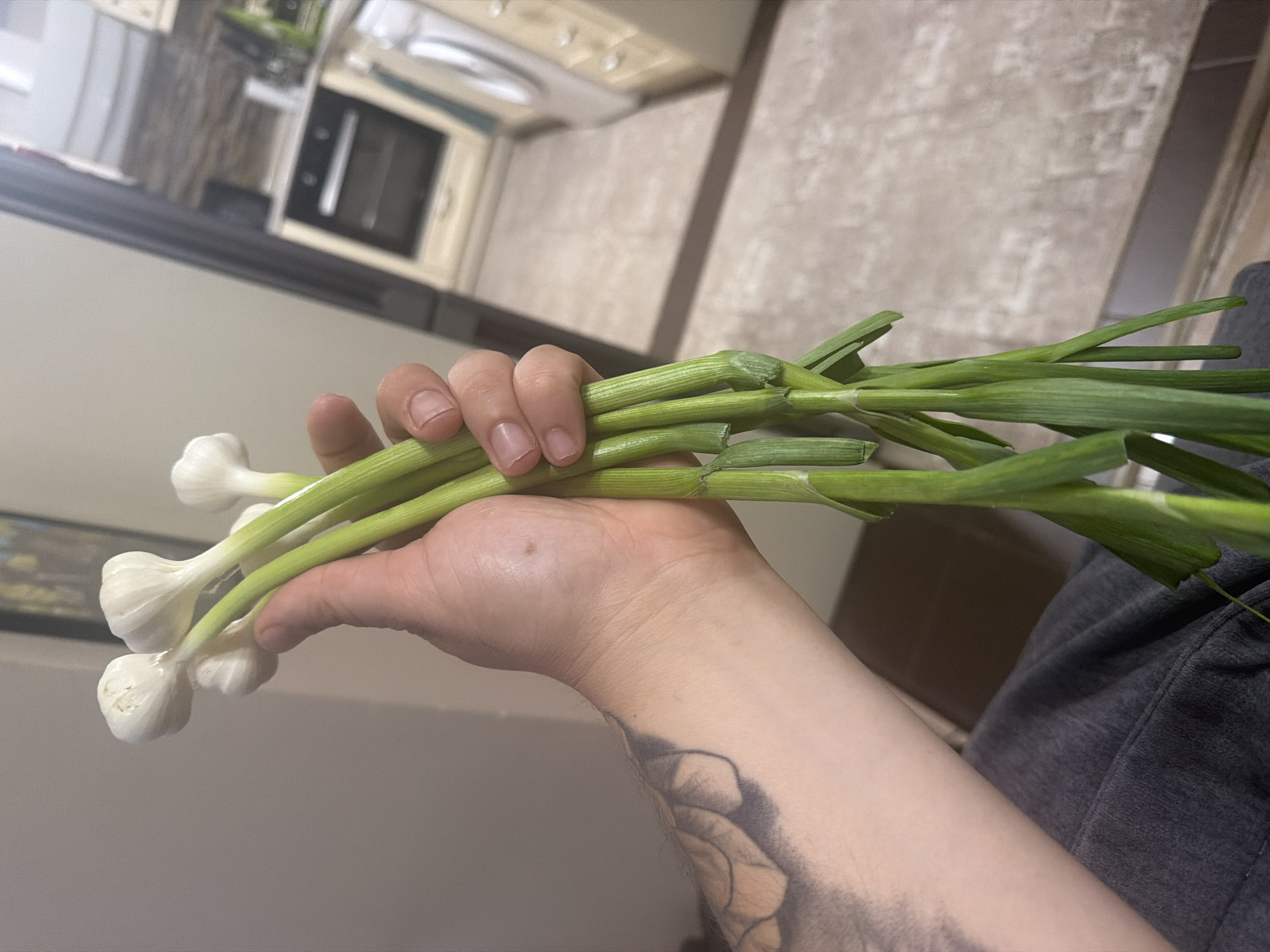 A person's hand holds a fresh bunch of spring garlic or green onions in a home kitchen. The vegetables have distinct white bulbs at the base and long, vibrant green stalks. The person's bare forearm, visible in the foreground, is adorned with a black ink tattoo. In the background, a modern kitchen is discernible, featuring light-colored cabinets, a dark countertop, and a built-in oven or microwave. A tiled floor with a light pattern and a washing machine are also partially visible. The lighting suggests it is daytime. The image captures a simple, everyday activity in a domestic setting, likely in Shumen, Bulgaria. No text is visible.