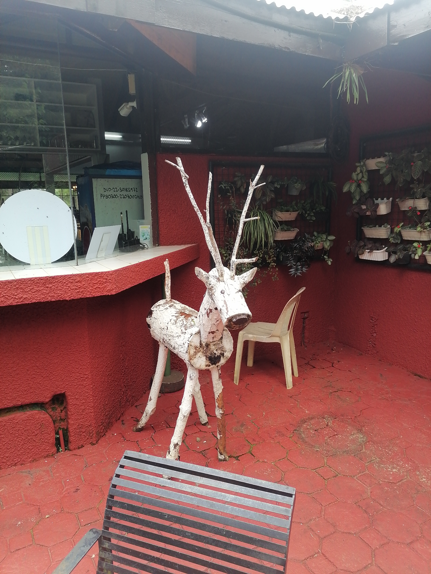 The image depicts an outdoor seating area with a red stucco wall and red patterned concrete flooring. In the foreground, a dark metal bench with horizontal slats is partially visible. To the left of the bench, a rustic wooden reindeer sculpture, painted white and appearing weathered, stands on the floor. Behind the reindeer, a pale yellow plastic chair is placed near the red wall.
Above the red counter in the background, a white circular object with yellow and white stripes is mounted on the wall. Further back, shelves are visible behind a glass partition, containing various items, including plants and containers. Text is visible on a light-colored surface behind the counter, reading "DVO-22-30185972 PPB0300-220900240".
The overall environment suggests an outdoor café or seating area, likely in Davao City, Philippines, given the presence of the text on the surface, which may be a government or business registration. The area appears to be somewhat shaded, with overhead structures and foliage visible in the background, suggesting it is part of a building or covered space. The scene is static and shows no human activity.