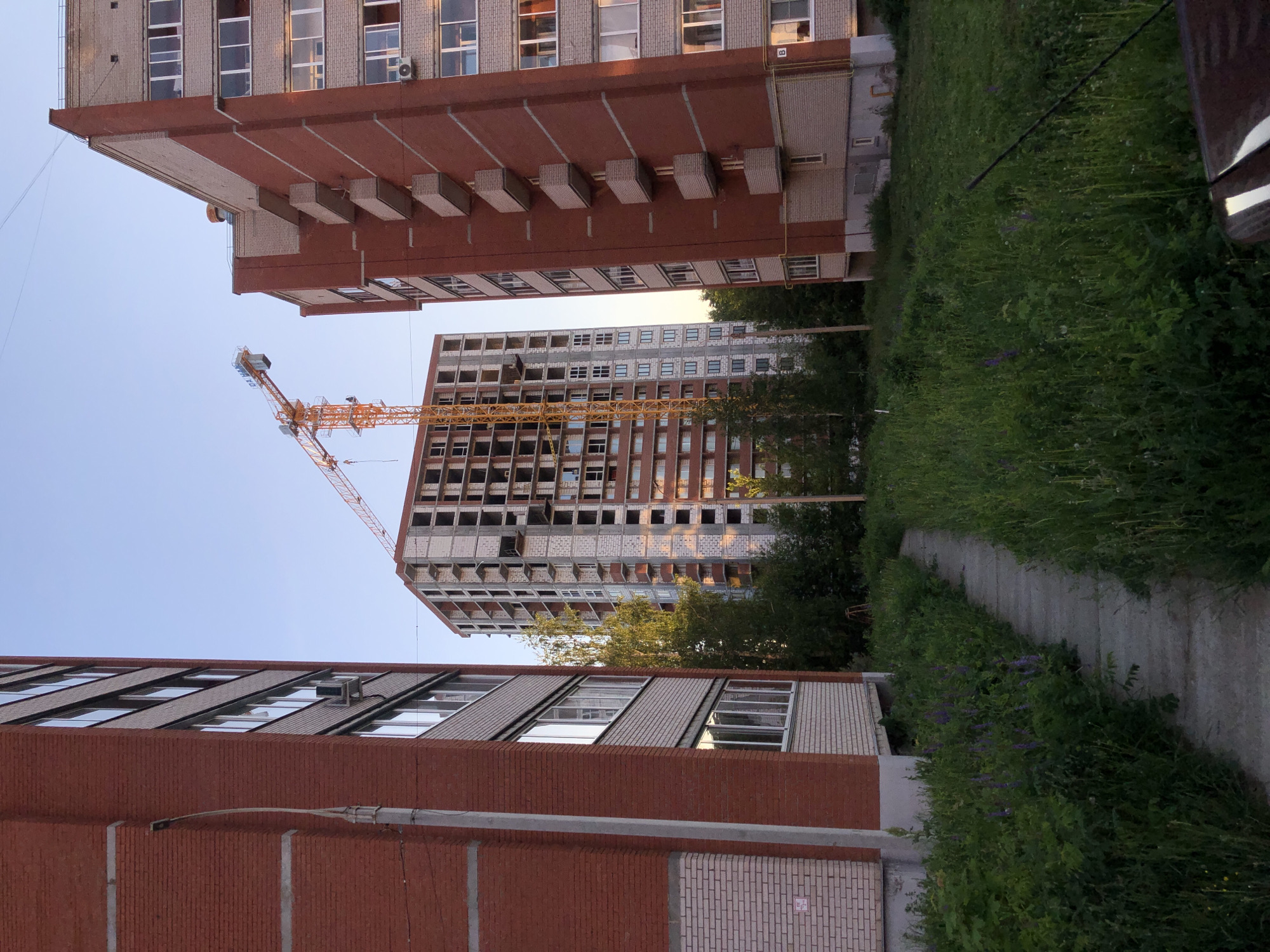 The image captures an urban landscape in Chaikovsky, Russia, during what appears to be early morning or late afternoon under a clear, light blue sky. The scene is dominated by several buildings, a construction crane, and lush vegetation.
In the foreground, a concrete pathway winds through overgrown green grass, interspersed with purple wildflowers, on the right side of the frame. On the far left, a section of a red brick building with windows is partially visible, indicating close proximity to the viewer.
The midground is occupied by a tall, finished building on the left, constructed from red brick and lighter-colored blocks, featuring numerous windows and distinctive rectangular protrusions along its façade.
In the background, towards the center-right, an unfinished, multi-story building stands, revealing its concrete and light-colored block structure with many empty window openings, signifying ongoing construction. Adjacent to this building, an prominent orange construction crane extends its boom high into the sky, reinforcing the theme of development. Green trees and bushes are scattered around the bases of the buildings and along the pathway.
Visible text details include a white rectangle with the letter 'B' on the upper right side of the finished red brick building. A small red sign with unreadable white text is present on a light brick section near the foreground pathway. Partially visible text, possibly "DA...HA", can be seen on the crane's boom. The image juxtaposes existing architecture with new construction against a backdrop of natural greenery.