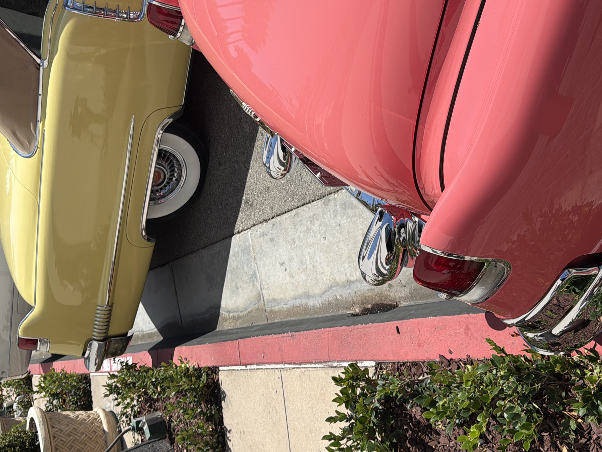 The image displays a static outdoor scene featuring two vintage automobiles parked adjacent to a landscaped area and a sidewalk. The perspective is an elevated, oblique angle looking down towards the ground.
In the upper central portion of the frame, the rear section of a yellow convertible automobile is prominently featured. It possesses a glossy yellow paint finish, a tan or light brown soft top partially visible, extensive chrome trim running along the side, a distinctive vertical chrome accent on the rear fender, and a whitewall tire fitted with an ornate chrome hubcap. Reflections of what appear to be trees and sky are visible on the vehicle's polished surfaces.
Positioned in the lower right and foreground, partially obscuring the yellow car, is the rear section of a pink automobile. This vehicle also features a glossy finish on its pink bodywork, a chrome taillight assembly, and a chrome bumper. Additional chrome elements, possibly from a side mirror or antenna base, are visible higher on its body.
Separating the vehicles from the foreground is a red-painted concrete curb, indicating a restricted parking zone. Beyond this curb to the left, a light-colored concrete sidewalk is visible. Adjacent to the sidewalk is a landscaped strip containing dark brown wood mulch and numerous small green leafy shrubs. Further to the left, partially visible, are large, light-colored, ornate concrete planters, also containing green vegetation. A small green utility box or connection point with dark wiring is present within the landscaped area.
The scene is brightly lit, suggesting daylight conditions. No individuals are present in the image. The location of this scene is the city of Los Angeles, United States of America.