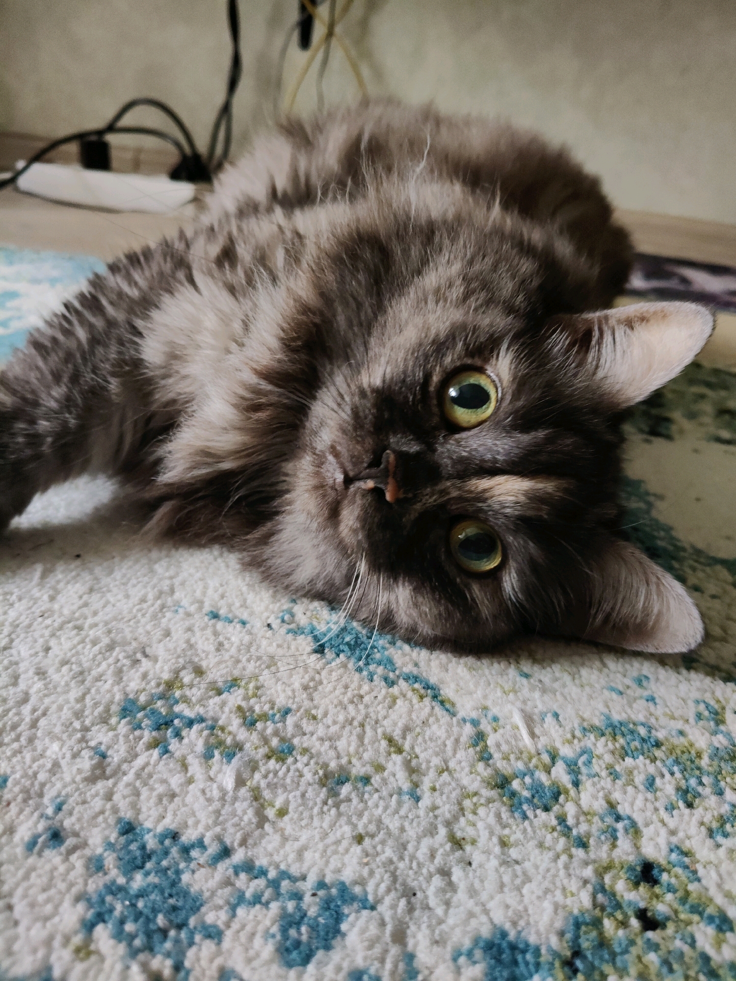 A fluffy gray cat with bright green eyes lies on its side on a patterned rug. The cat's head is tilted, and its body is stretched out, with one paw extended. The rug has a white base with abstract blue and green splotches. In the background, there are electrical cords and a power strip. The image appears to have been taken indoors.
