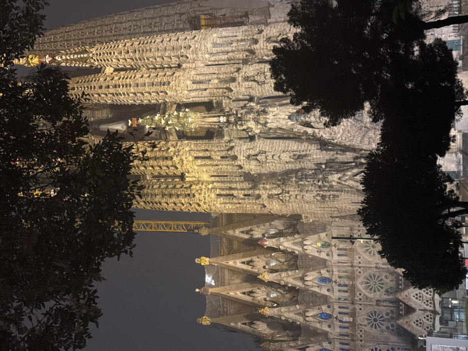 The Sagrada Familia in Barcelona is captured at night, partially obscured by silhouetted trees. The basilica's intricate facade is illuminated, highlighting its ornate details and the contrasting textures of its stonework. Construction continues, evidenced by a visible crane. The bottom portion displays a darker facade with geometric patterns and stained glass details, contrasting with the upper portion's lighter stonework. Buildings in the background are dimly lit.