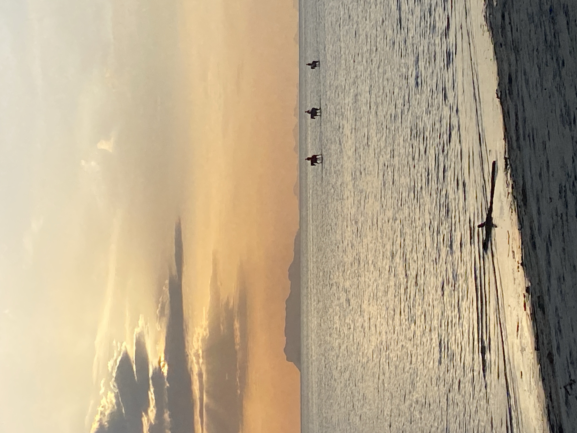 The image depicts a serene sunset scene over the ocean, likely near the coast of Ko Samui District, Thailand. The sky is painted with warm hues of orange and yellow, with scattered clouds catching the last rays of sunlight. In the distance, a silhouetted island with a rugged coastline is visible on the horizon. The calm sea reflects the colors of the sky, creating a shimmering effect. Three figures on horseback are present, riding through the shallow water. Their forms are dark against the bright water, with one rider slightly ahead of the other two. The foreground shows a sandy beach with some scattered debris, including a piece of driftwood lying near the water's edge. The overall impression is one of tranquility and natural beauty.