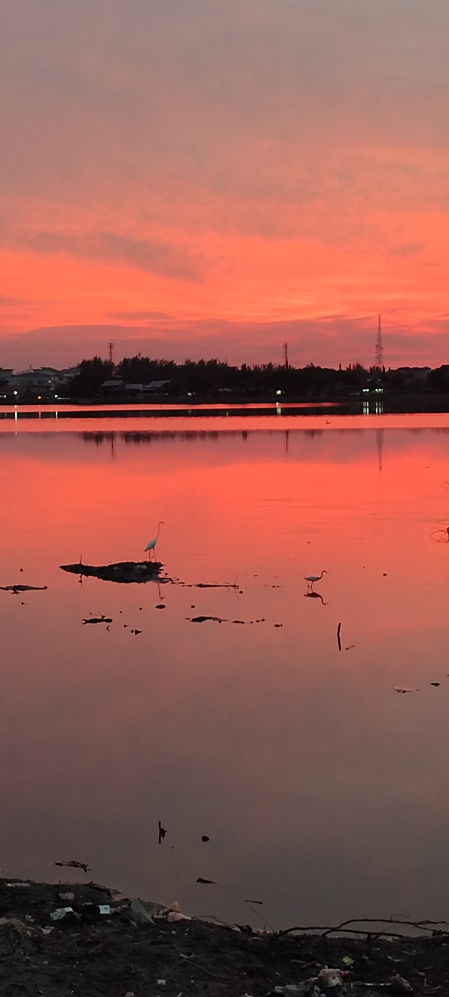 The image depicts a serene sunset scene over a body of water, possibly a lagoon or pond, with two egrets wading. The sky is a vibrant gradient of orange and pink, reflecting beautifully on the still water. In the background, a silhouetted treeline separates the water from a low-lying urban landscape, featuring indistinct buildings and utility poles, indicative of a developed area. The foreground shows a cluttered embankment with debris, contrasting with the natural beauty of the sunset. This scene is likely situated in Lhokseumawe, Indonesia, a city known for its coastal areas and industrial presence, where such natural light displays are common against an urban backdrop.