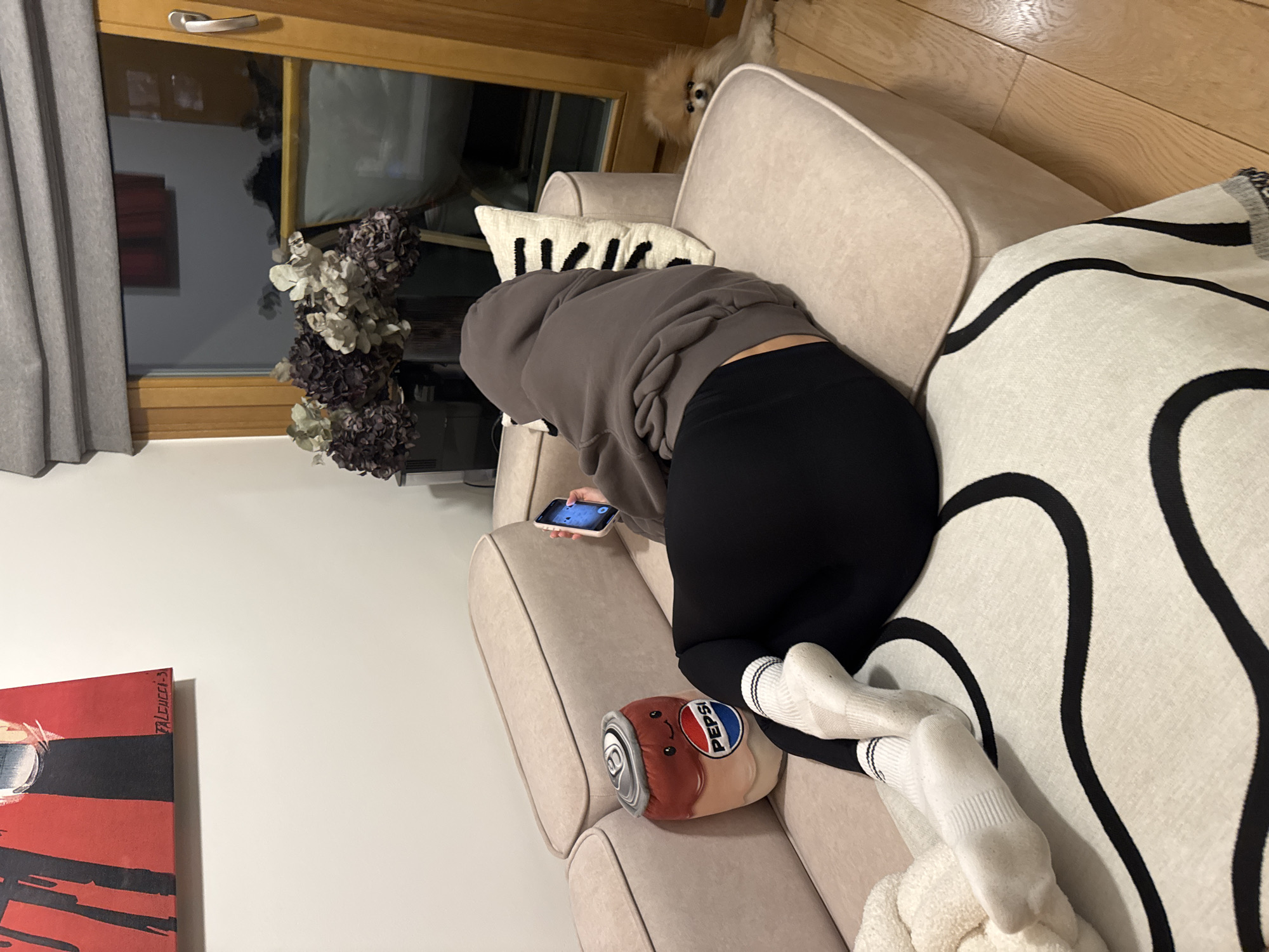 A person in a gray hoodie and black leggings is kneeling on a beige sofa, looking at a phone. The person is wearing white socks. A decorative pillow in the shape of a Pepsi can is next to the person. On the sofa is a black and white patterned throw pillow and a fuzzy white blanket. A small dog is visible behind the sofa. In the background, there is a window with gray curtains and a wooden frame. Dried flowers are next to the window. A painting hangs on the wall. The scene appears to be indoors, in a living room. The city is unknown, unknown.