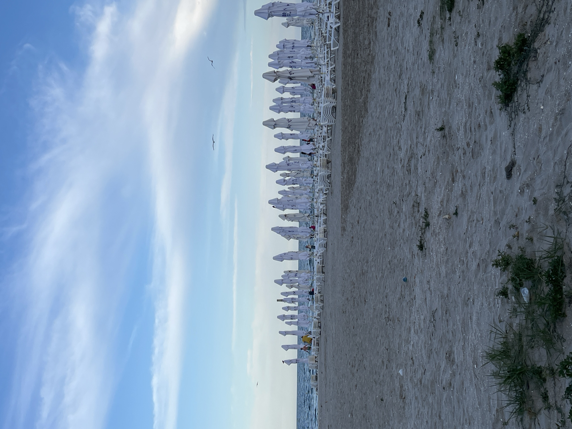 The image depicts a sandy beach in Năvodari, Romania, characterized by rows of neatly arranged, folded white beach umbrellas and empty white lounge chairs. The sea is visible in the background with a gentle wave pattern under a sky with scattered clouds. A few seagulls are in flight. Several people are present on the beach, some standing near the water's edge, and others near the umbrellas, suggesting a quiet or off-season moment. The sand in the foreground shows some sparse vegetation and scattered debris, indicating the natural state of the beach. The overall scene conveys a sense of calm and preparation for beachgoers.