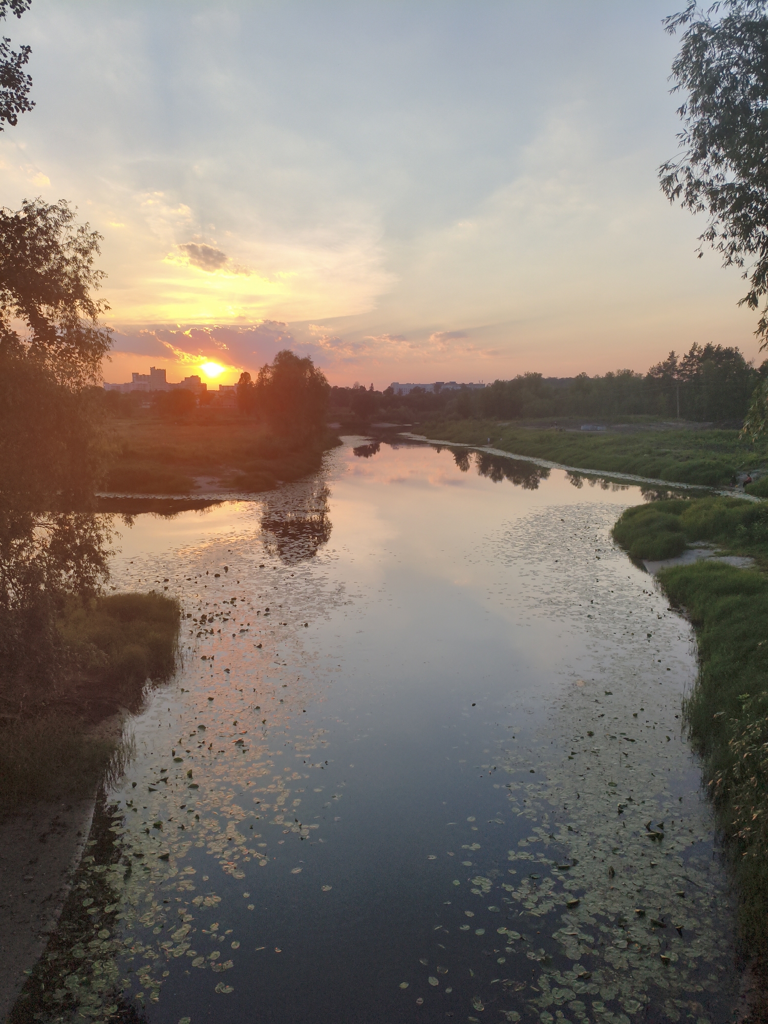 An aerial view captures a serene sunset over the river in Homyel, Belarus. The sky is painted with hues of orange and yellow, reflecting softly on the calm water. Scattered lily pads dot the surface of the river, adding texture and life to the scene. Trees line the banks, their reflections merging with the sky in the water. In the distance, buildings form a silhouetted skyline against the colorful sky, indicating the urban proximity of this natural landscape. The overall atmosphere is peaceful and tranquil, characteristic of a summer evening.