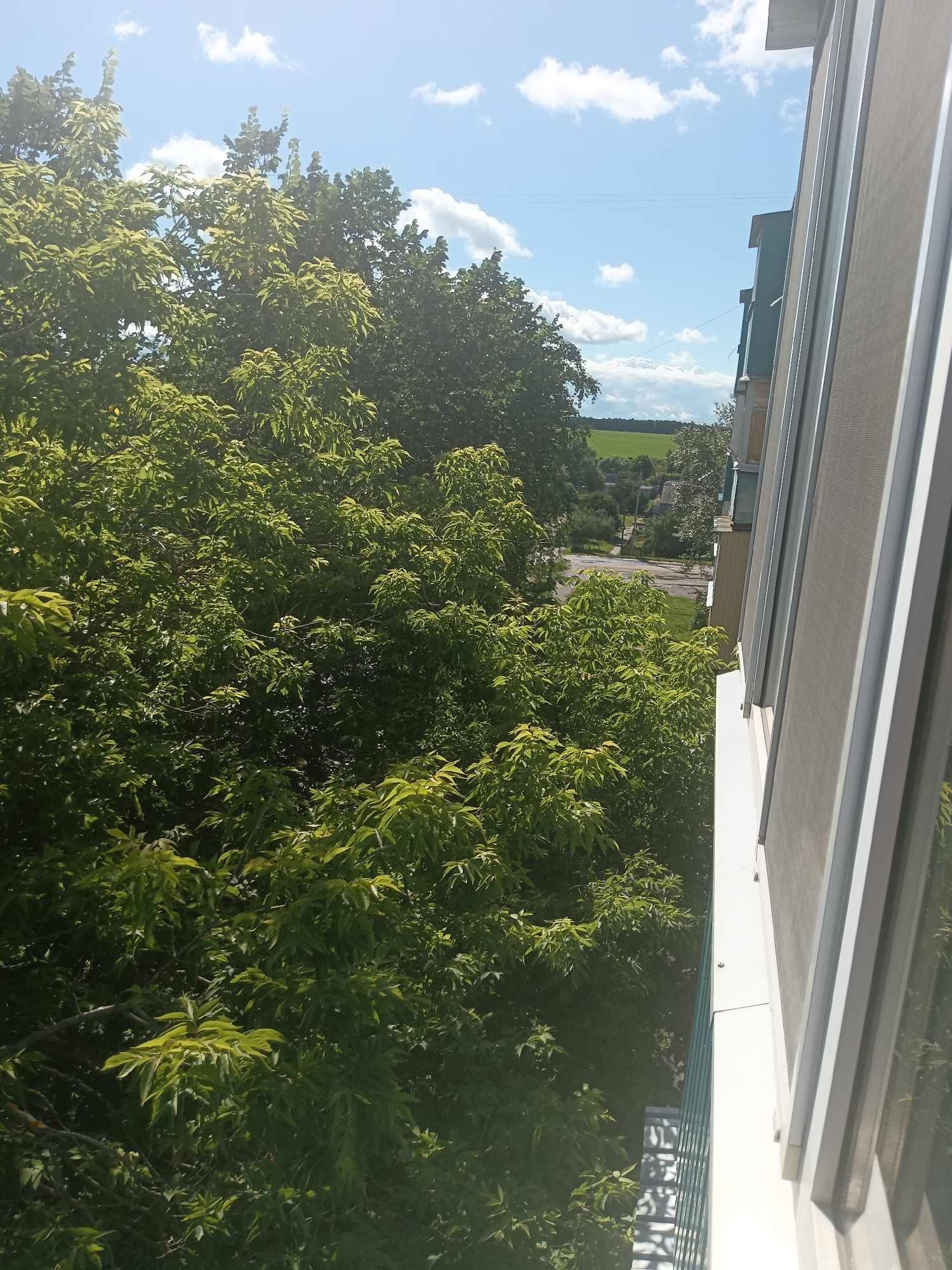The image captures a view from a high vantage point, likely a balcony or window, looking out over a dense canopy of green trees. The trees dominate the foreground and midground, with sunlight filtering through their leaves, creating a dappled effect. Beyond the trees, a rural landscape unfolds, featuring a green field, a road, and scattered houses. The sky above is blue with scattered white clouds. To the right of the image, a portion of a building's exterior is visible, characterized by white and metallic elements and a screened window. The scene is set in the city of Kuznetsk, Russia, during daylight hours.