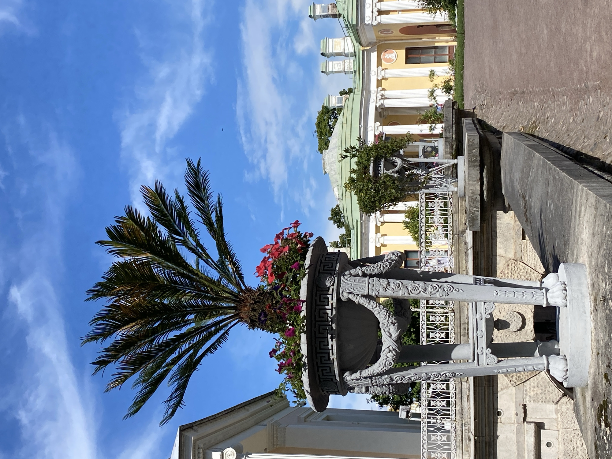 The image depicts a sunny outdoor scene in the city of Pushkin, Russia. In the foreground, a large, ornate grey planter holds a palm tree and a vibrant arrangement of red and purple flowers. The planter rests on a decorative pedestal with clawed feet. Behind the planter, a white ornate railing encloses a paved area. In the background, a yellow neoclassical building with white columns and a green domed roof is visible, suggesting it is part of a palace or grand estate, possibly the Catherine Palace or one of its associated structures in the Tsarskoye Selo complex. The sky is a clear blue with scattered white clouds. The overall scene conveys a sense of grandeur and historical architecture in a well-maintained park or garden setting. There are no people clearly visible in the image.