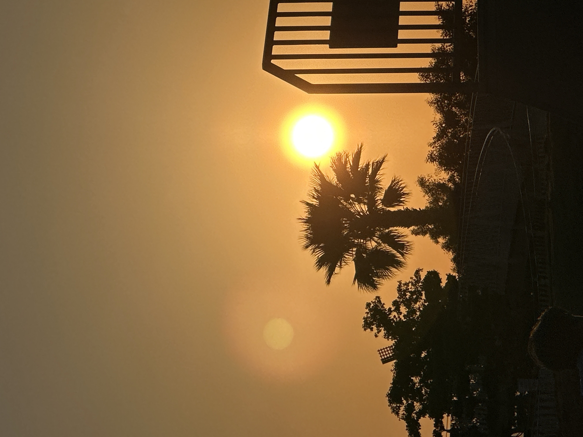 A vertical photograph captures a vivid golden hour scene, likely a sunrise or sunset, in Fethiye, Turkey. The sky is dominated by warm, radiant hues of golden-orange and amber. A brilliant, intense sun shines brightly in the upper right quadrant, its light creating a strong glare. Below and to its left, a distinct palm tree stands in stark silhouette, its fronds clearly outlined against the luminous sky.
In the upper left, a dark, geometric structure featuring horizontal bars is silhouetted, partially overlapping the sun's glow. Further right and partially obscured by dense foliage, a dark, arched architectural element is visible. Additional dark silhouettes of trees and abundant foliage frame the lower right and bottom edges of the image. A secondary, diffused yellow-orange orb, possibly a lens flare or atmospheric reflection, is present in the lower left quadrant.
The overall atmosphere appears hazy, contributing to the soft, diffused light quality. The absence of harsh shadows, coupled with the low sun angle and warm palette, strongly indicates either dawn or dusk. No people are visible, nor is any discernible text present in the image.