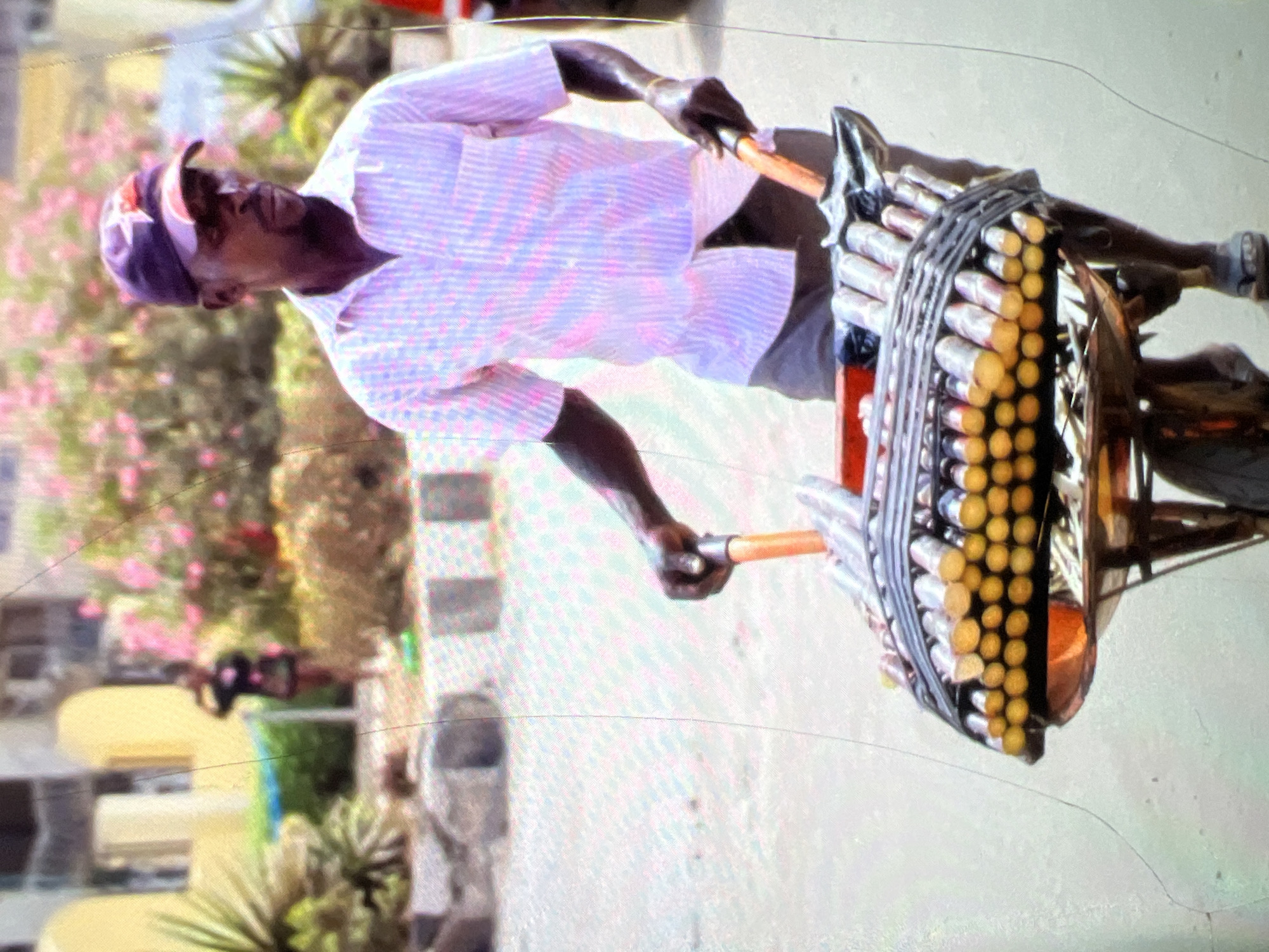 In Lagos, Nigeria, a man is pushing a cart loaded with sugar cane stalks. He is wearing a pink and white striped shirt, dark pants, and a purple baseball cap. The cart is made of wood and metal, with a woven rack holding the sugar cane. The sugar cane is cut into short segments and arranged in rows, with some stalks still whole. The man is walking on a paved street, with buildings and vegetation in the background. There is a woman in the background, blurred and out of focus, taking a picture with her phone. The scene appears to be set in a busy urban environment, with a sense of movement and activity.
