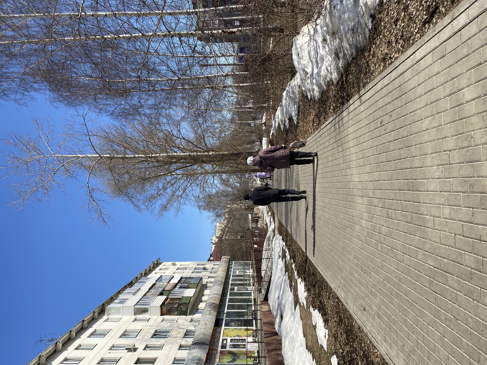 Two people walk along a brick sidewalk in Chaikovsky, Russia. The sidewalk borders a line of leafless trees and melting snow. On the opposite side of the sidewalk is a building with a shop front. The sky is clear and blue.
