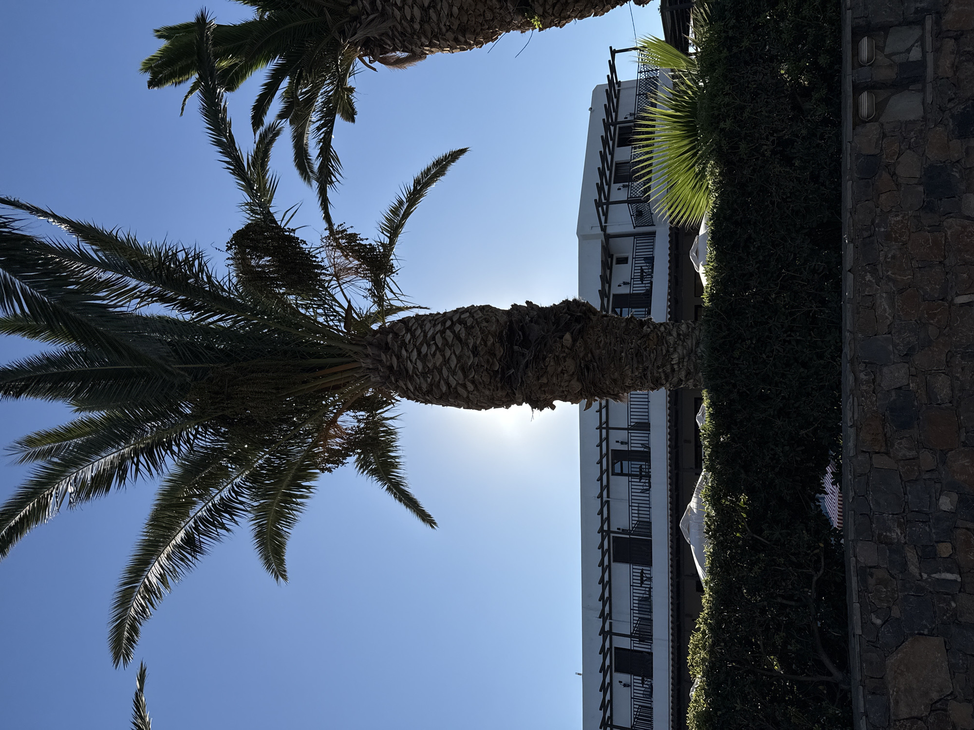 The image shows a sunny day with a clear blue sky over a building in Chersonisos Municipal Unit, Greece. Two large palm trees frame the scene, with their fronds silhouetted against the bright sky. The building appears to be a hotel or resort, with multiple levels, balconies, and white walls. A low, manicured hedge runs in front of the building, and a stone wall with integrated lights is visible in the foreground. Several white umbrellas are partially visible behind the hedge, suggesting an outdoor seating area. The sun is positioned behind one of the palm trees, creating a lens flare effect. There are no people visible in the image.